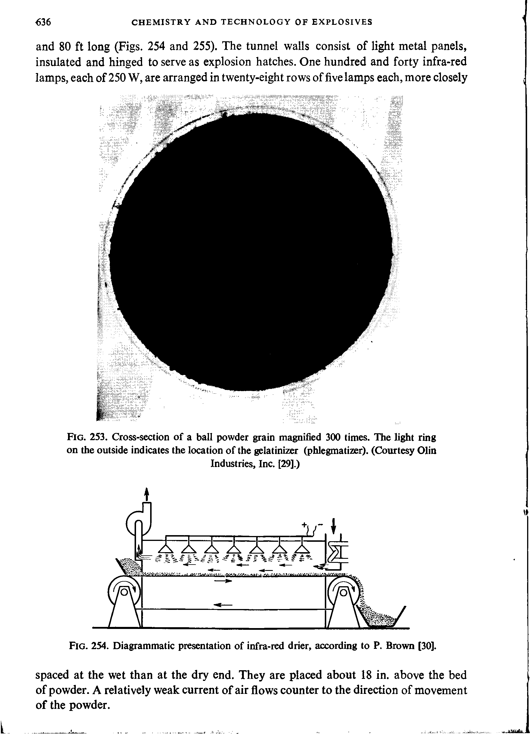 Fig. 253. Cross-section of a ball powder grain magnified 300 times. The light ring on the outside indicates the location of the gelatinizer (phlegmatizer). (Courtesy Olin...