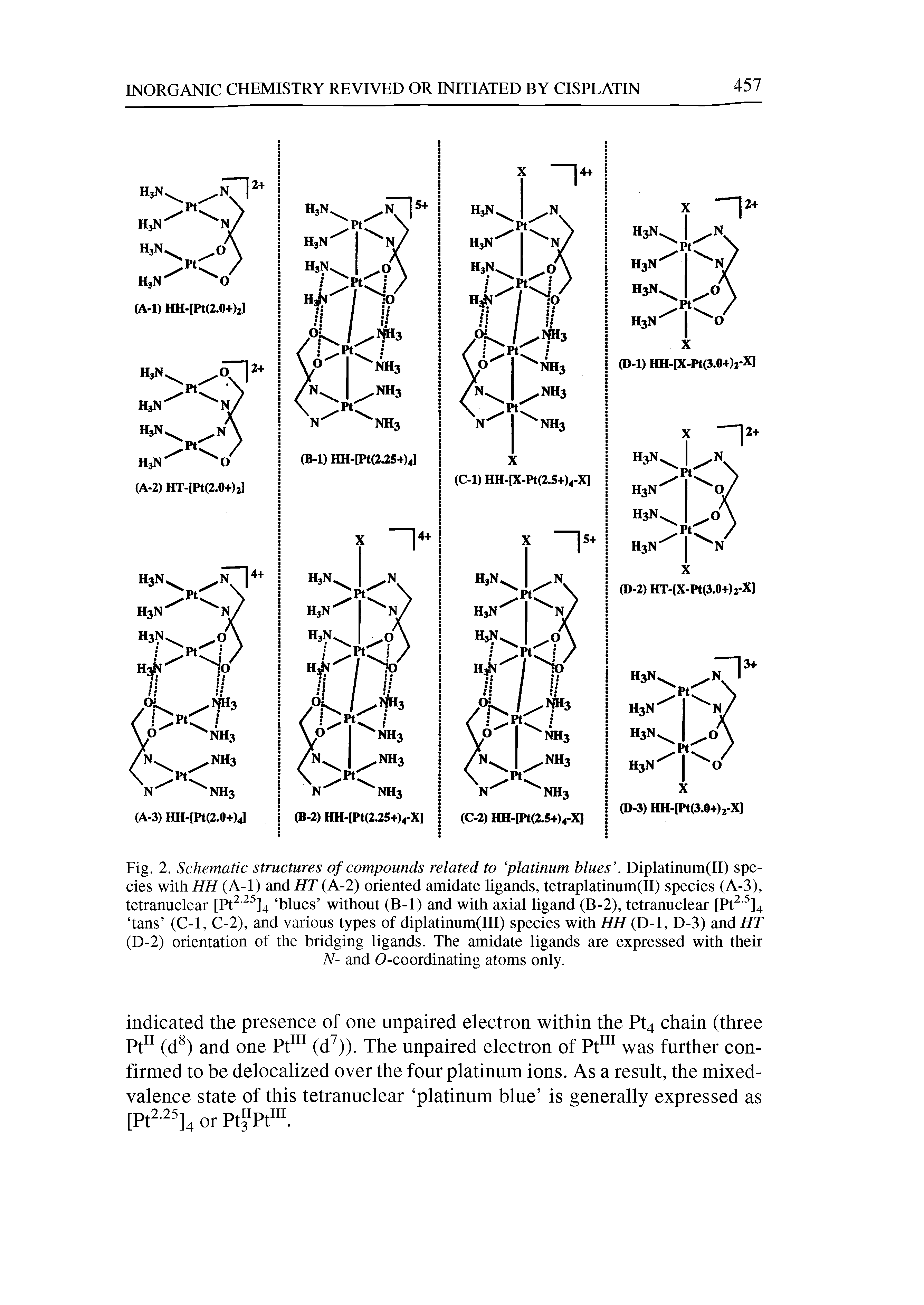 Fig. 2. Schematic structures of compounds related to platinum blues . Diplatinum(II) species with HH (A-l) and HT (A-2) oriented amidate ligands, tetraplatinum(II) species (A-3), tetranuclear [Pt2 25]4 blues without (B-l) and with axial ligand (B-2), tetranuclear [Pt2 5]4 tans (C-l, C-2), and various types of diplatinum(III) species with HH (D-l, D-3) and HT (D-2) orientation of the bridging ligands. The amidate ligands are expressed with their N- and O-coordinating atoms only.