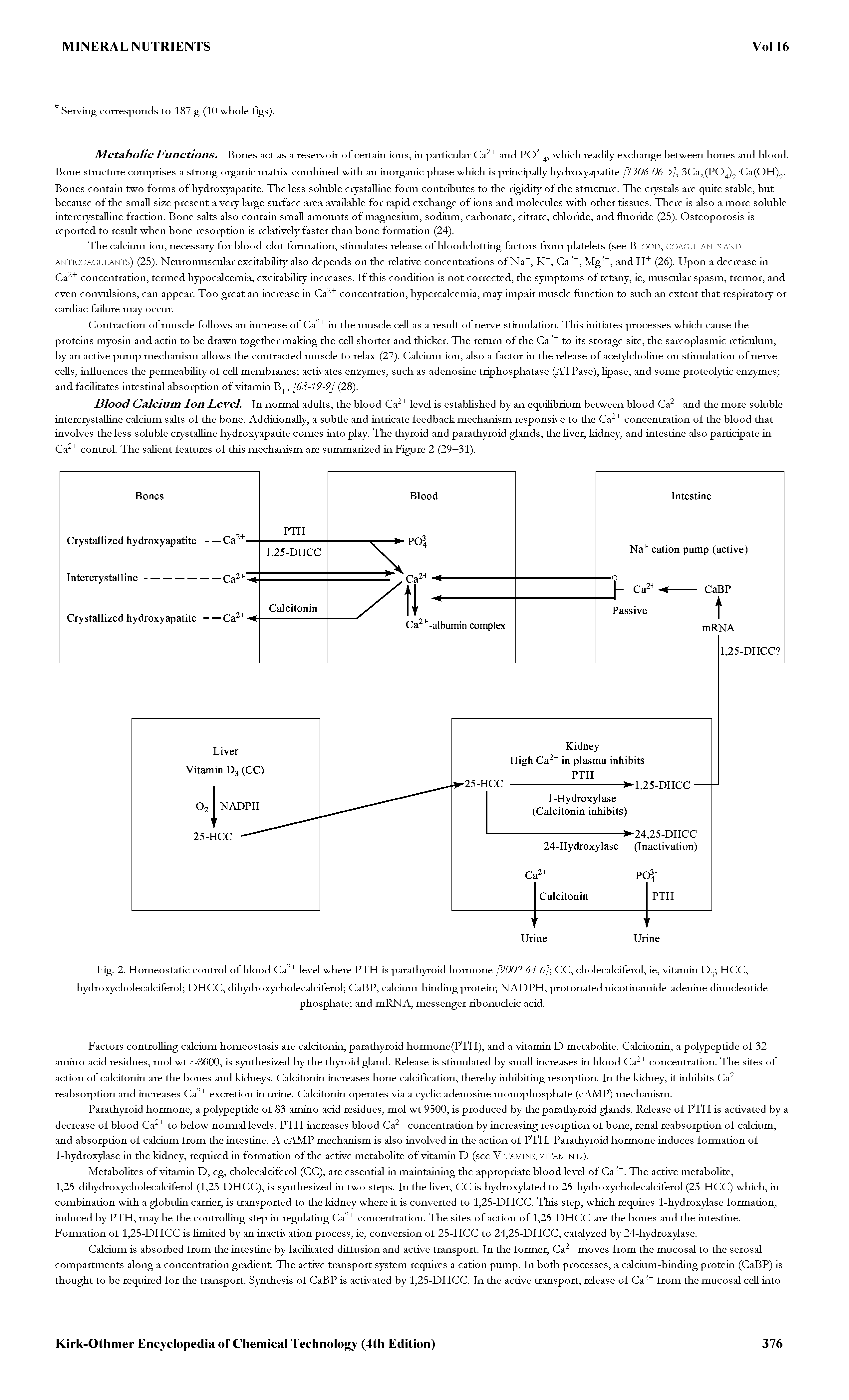 Fig. 2. Homeostatic control of blood Ca " level where PTH is parathyroid hormone [9002-64-6], CC, cholecalciferol, ie, vitamin D HCC, hydroxycholecalciferol DHCC, dihydroxycholecalciferol CaBP, calcium-binding protein NAD PH, protonated nicotinarnide-adenine dinucleotide...