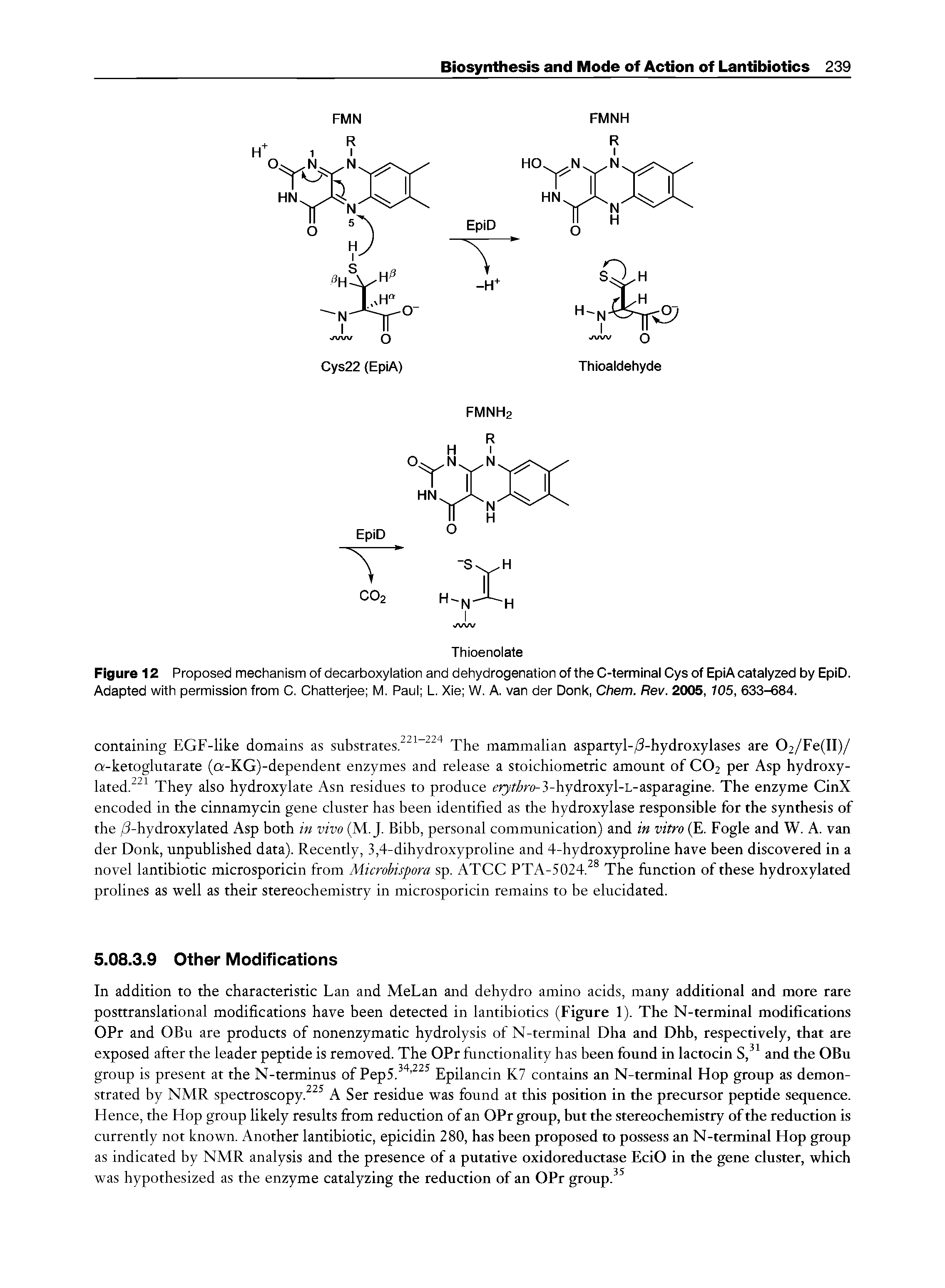 Figure 12 Proposed mechanism of decarboxylation and dehydrogenation of the C-terminal Cys of EpiA catalyzed by EpiD. Adapted with permission from C. Chatterjee M. Paul L. Xie W. A. van der Donk, Chem. Rev. 2005, 105, 633-684.