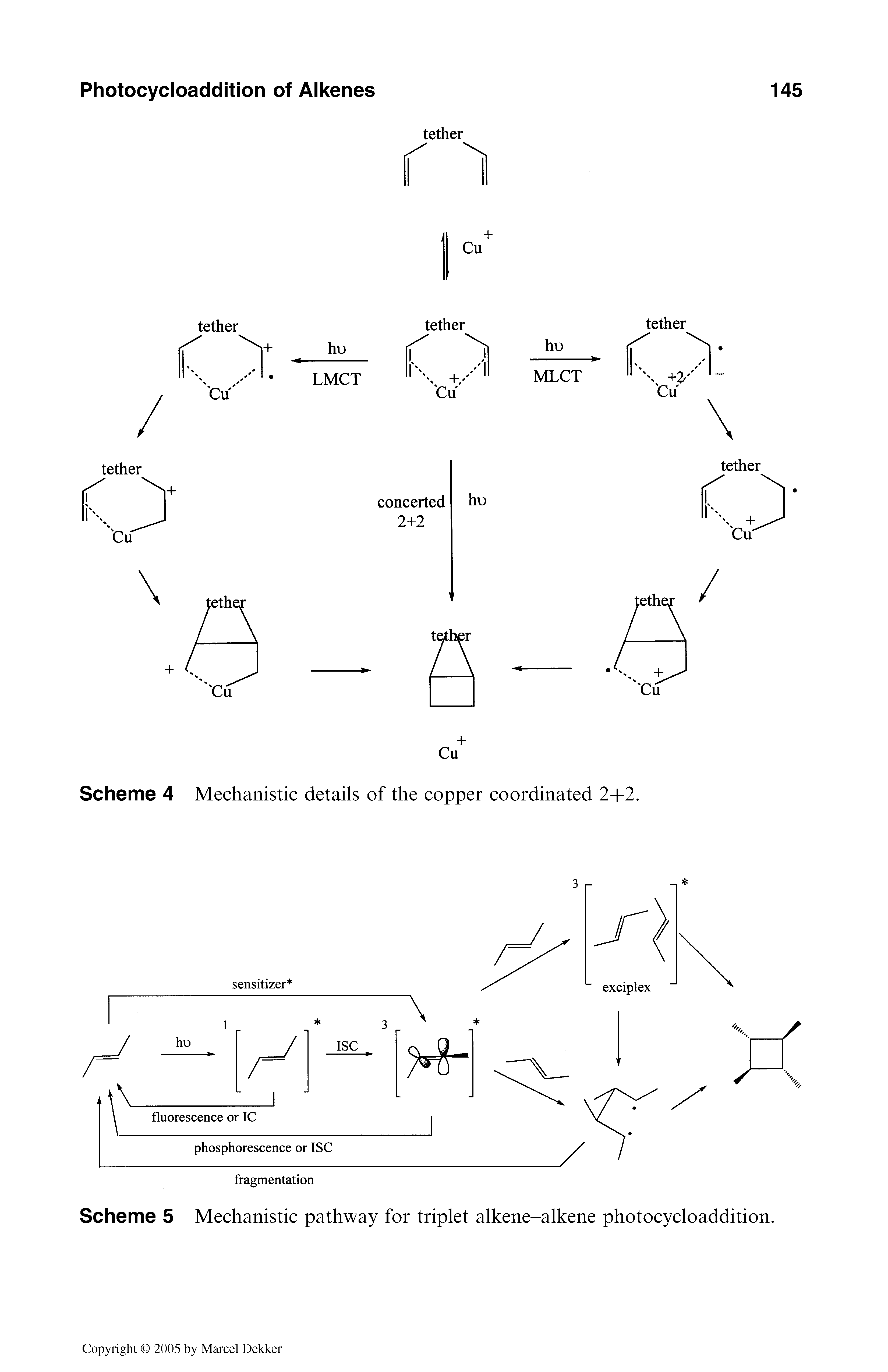 Scheme 5 Mechanistic pathway for triplet alkene-alkene photocycloaddition.