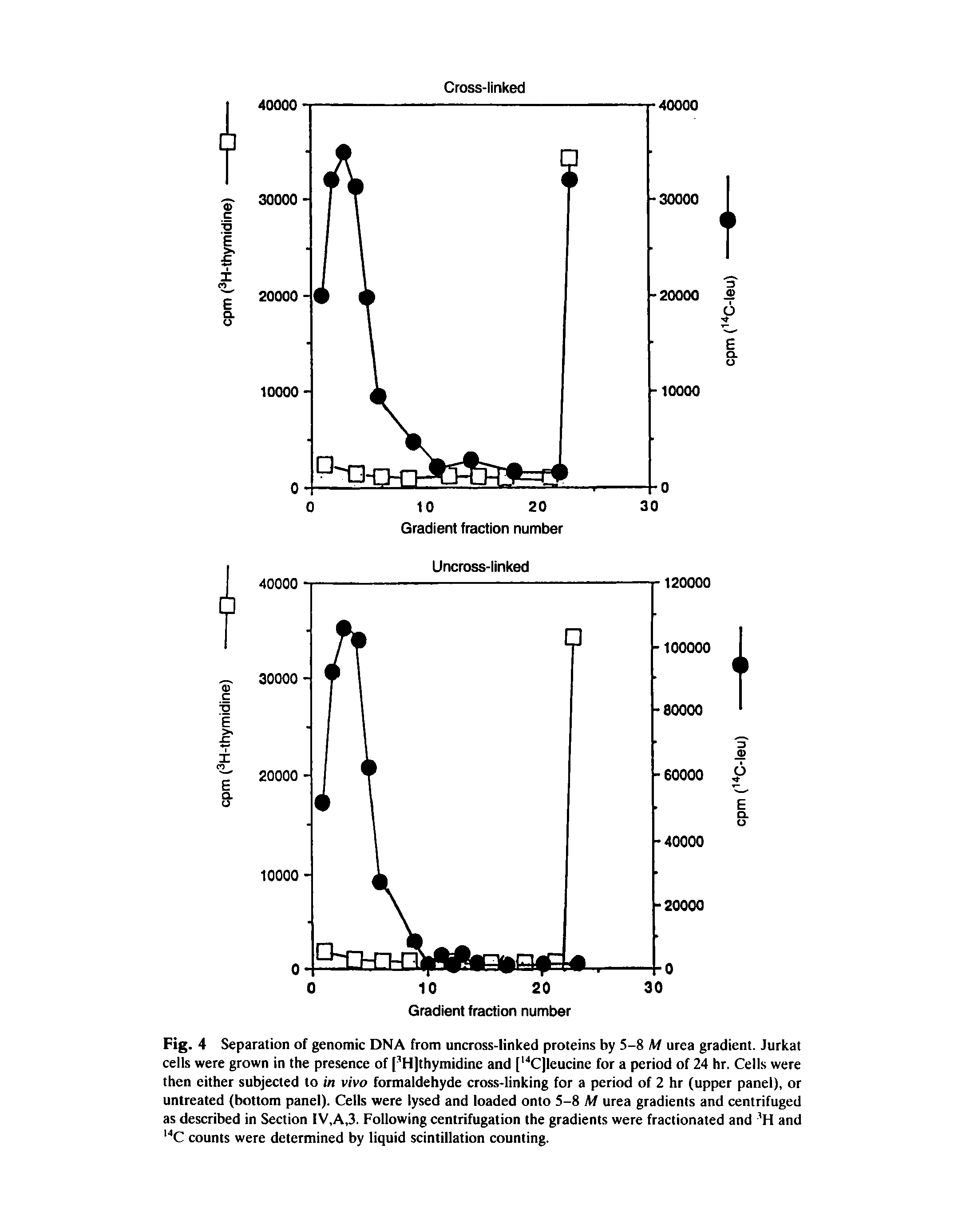 Fig. 4 Separation of genomic DNA from uncross-linked proteins by 5-8 M urea gradient. Jurkat cells were grown in the presence of pHJthymidine and [ CJIeucine for a period of 24 hr. Cells were then either subjected to in vivo formaldehyde cross-linking for a period of 2 hr (upper panel), or untreated (bottom panel). Cells were lysed and loaded onto 5-8 M urea gradients and centrifuged as described in Section IV,A,3. Following centrifugation the gradients were fractionated and H and C counts were determined by liquid scintillation counting.