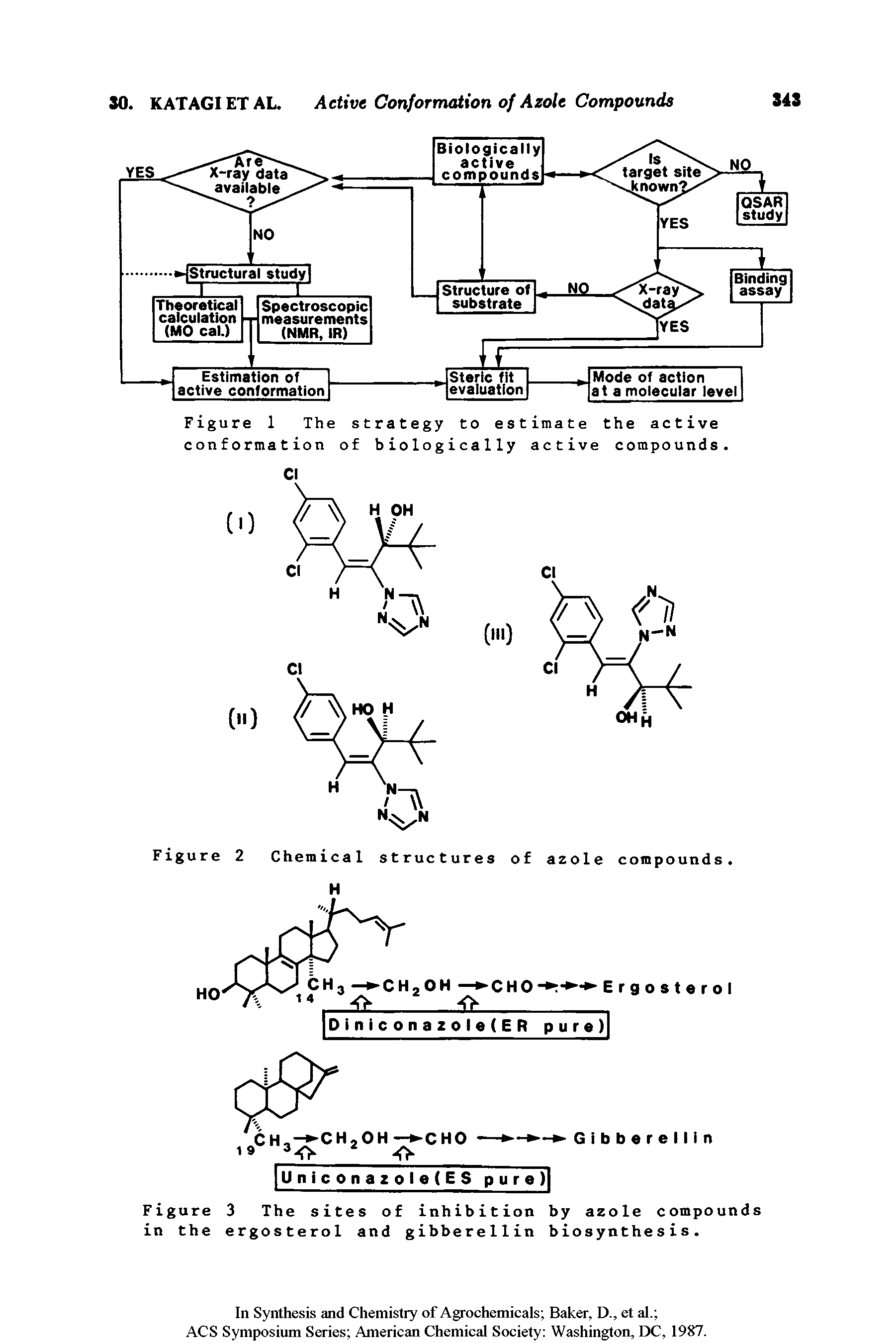Figure 3 The sites of inhibition by azole compounds in the ergosterol and gibberellin biosynthesis.