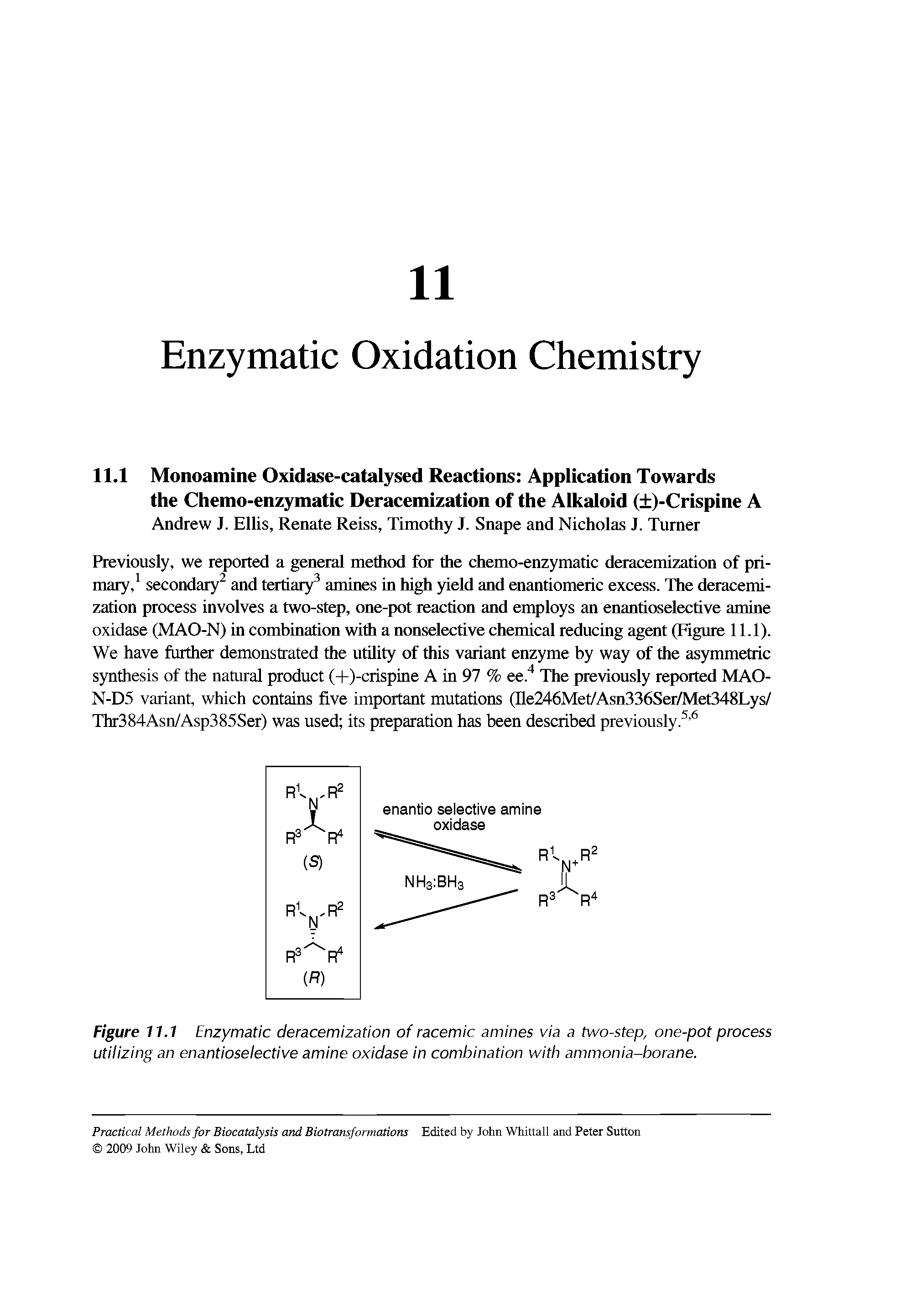 Figure 11.1 Enzymatic deracemization of racemic amines via a two-step, one-pot process utilizing an enantioselective amine oxidase in combination with ammonia-borane.