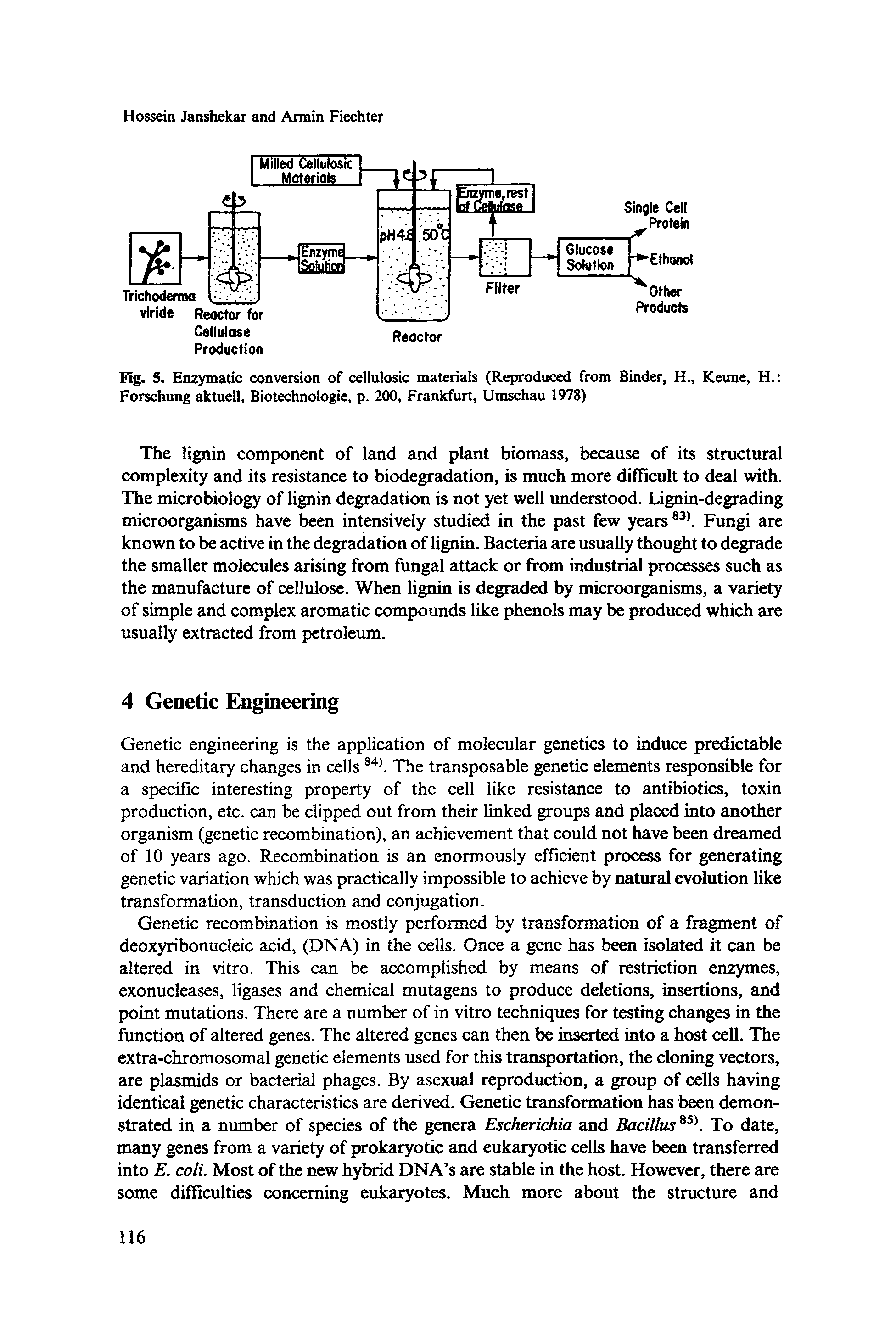 Fig. 5. Enzymatic conversion of cellulosic materials (Reproduced from Binder, H., Keune, H. Forschung aktuell, Biotechnologie, p. 200, Frankfurt, Umschau 1978)...