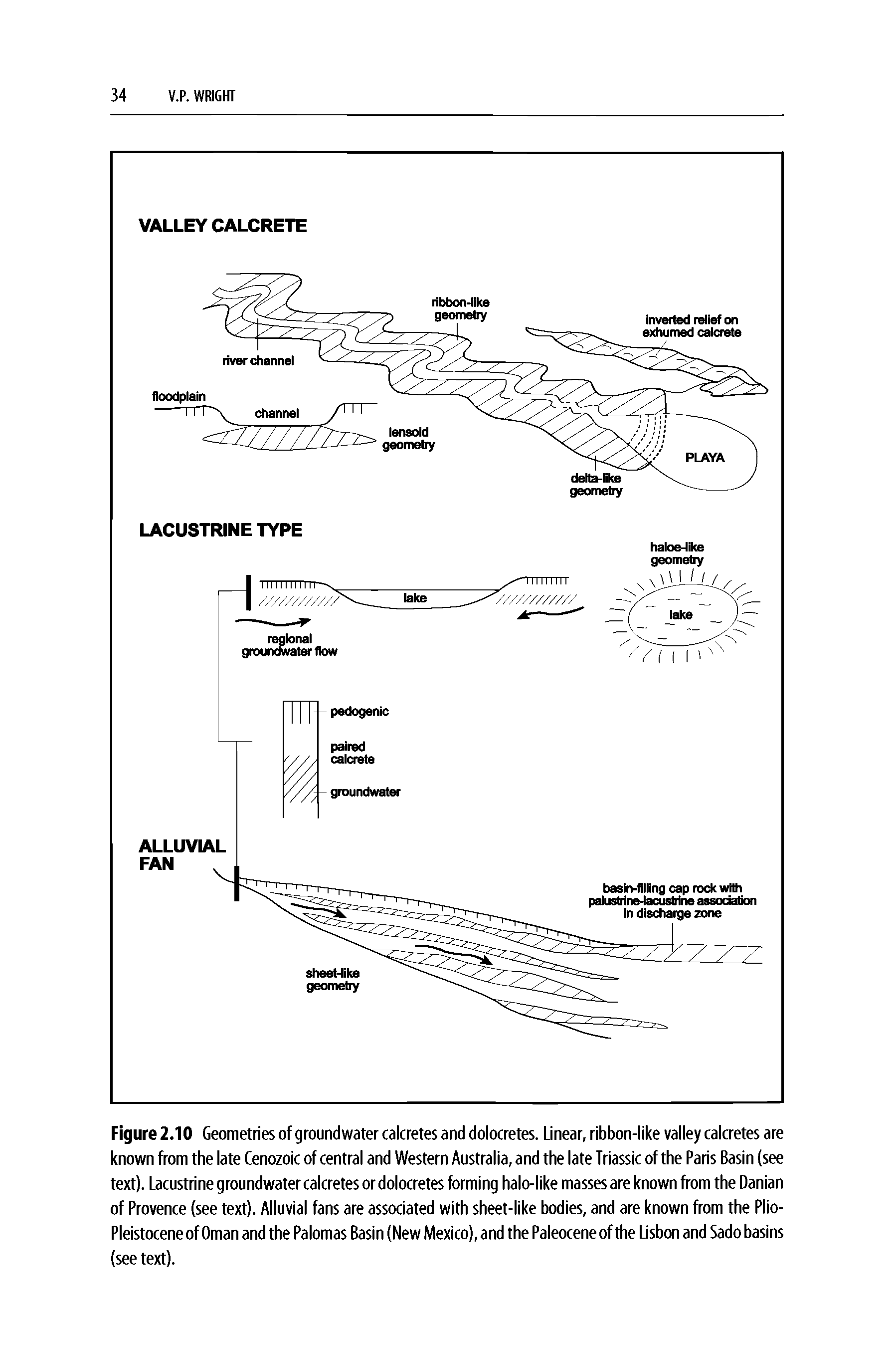 Figure 2.10 Geometries of groundwater calcretes and dolocretes. Linear, ribbon-like valley calcretes are known from the late Cenozoic of central and Western Australia, and the late Triassic of the Paris Basin (see text). Lacustrine groundwater calcretes or dolocretes forming halo-like masses are known from the Danian of Provence (see text). Alluvial fans are associated with sheet-like bodies, and are known from the Plio-Pleistocene of Oman and the Palomas Basin (New Mexico), and the Paleocene of the Lisbon and Sado basins (see text).