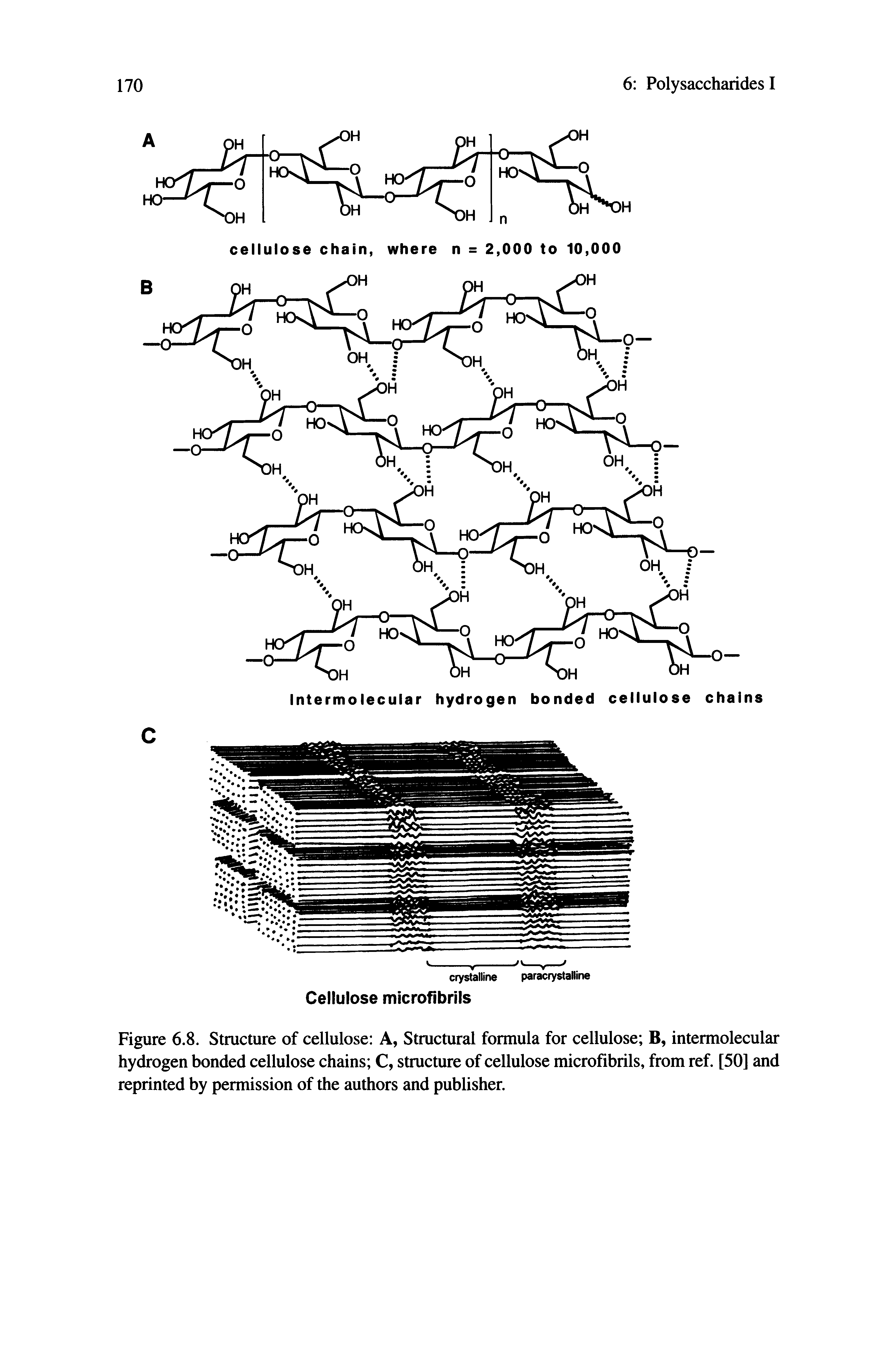 Figure 6.8. Structure of cellulose A, Structural formula for cellulose B, intermolecular hydrogen bonded cellulose chains C, structure of cellulose microfibrils, from ref. [50] and reprinted by permission of the authors and publisher.