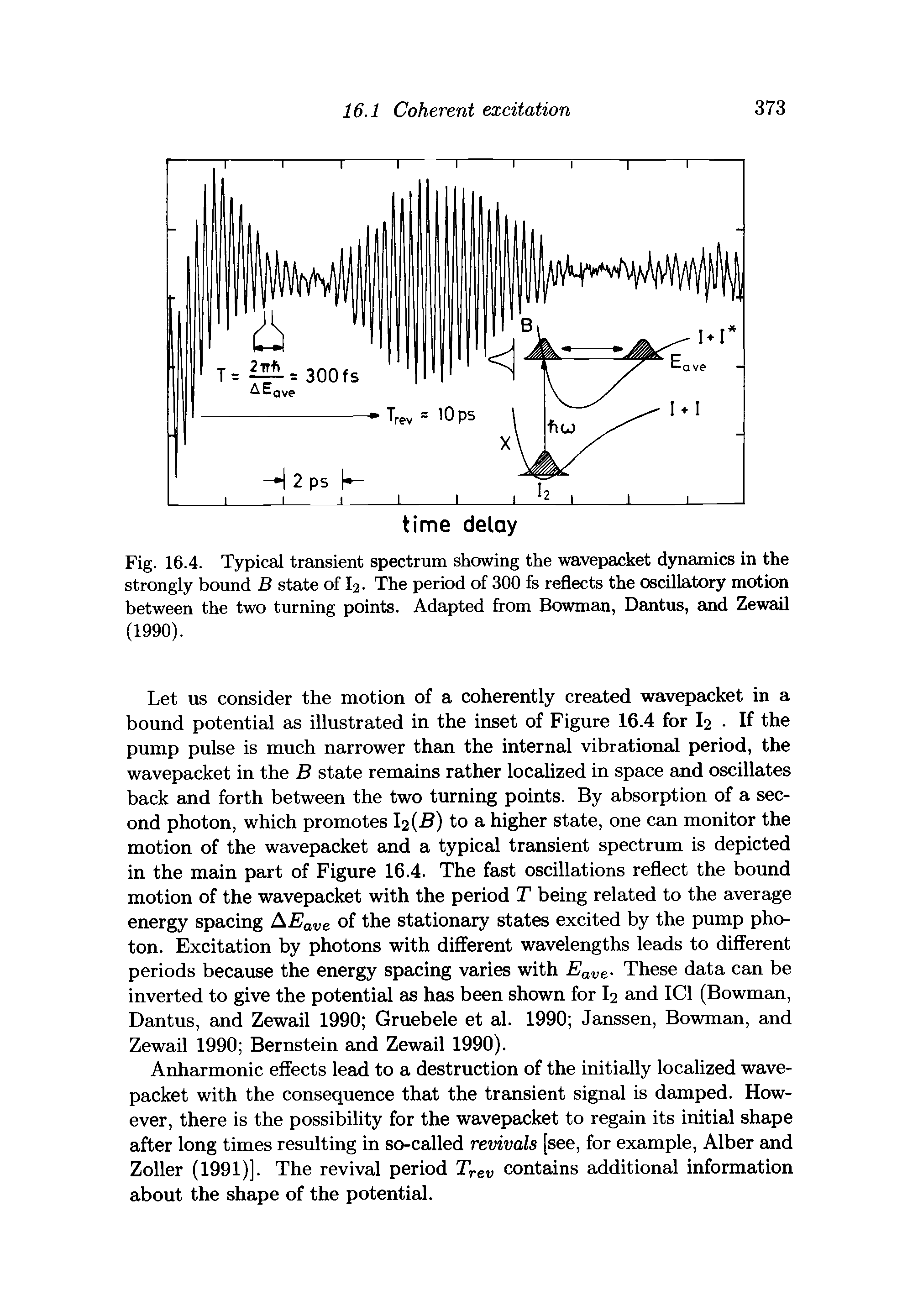 Fig. 16.4. Typical transient spectrum showing the wavepacket dynamics in the strongly bound B state of I2. The period of 300 fs reflects the oscillatory motion between the two turning points. Adapted from Bowman, Dantus, and Zewail (1990).