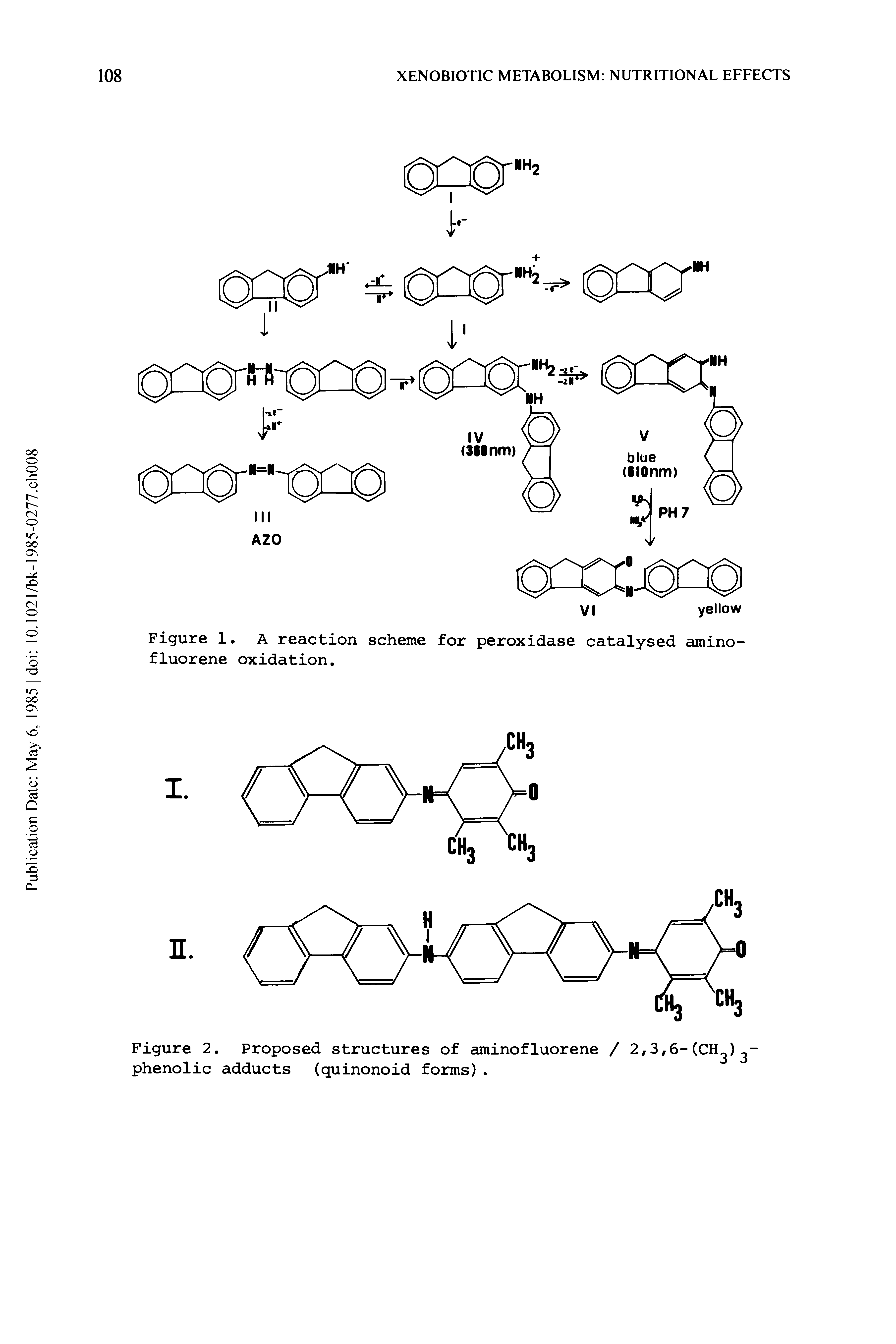 Figure 1. A reaction scheme for peroxidase catalysed amino-fluorene oxidation.