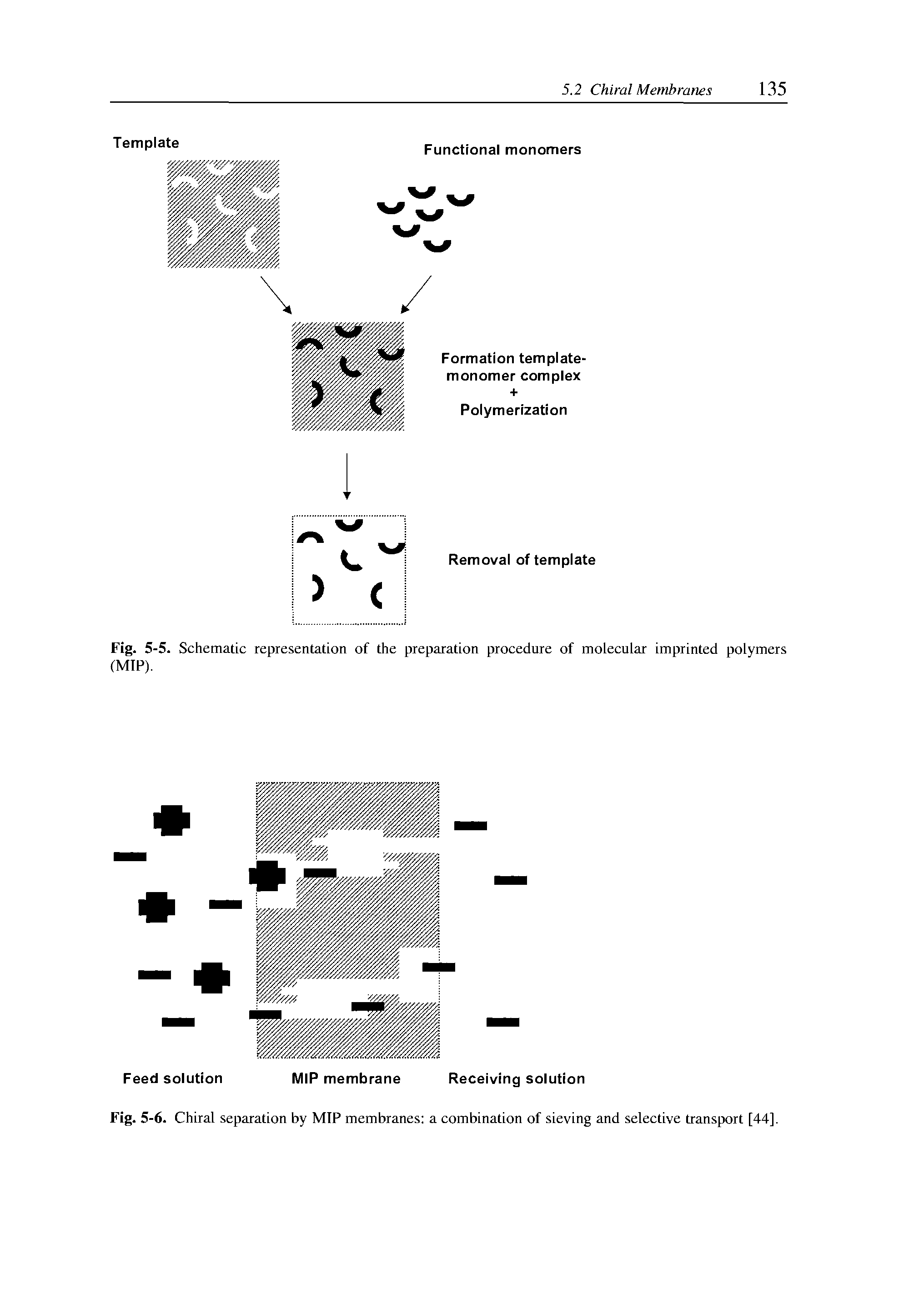 Fig. 5-5. Schematic representation of the preparation procedure of molecular imprinted polymers (MIP).