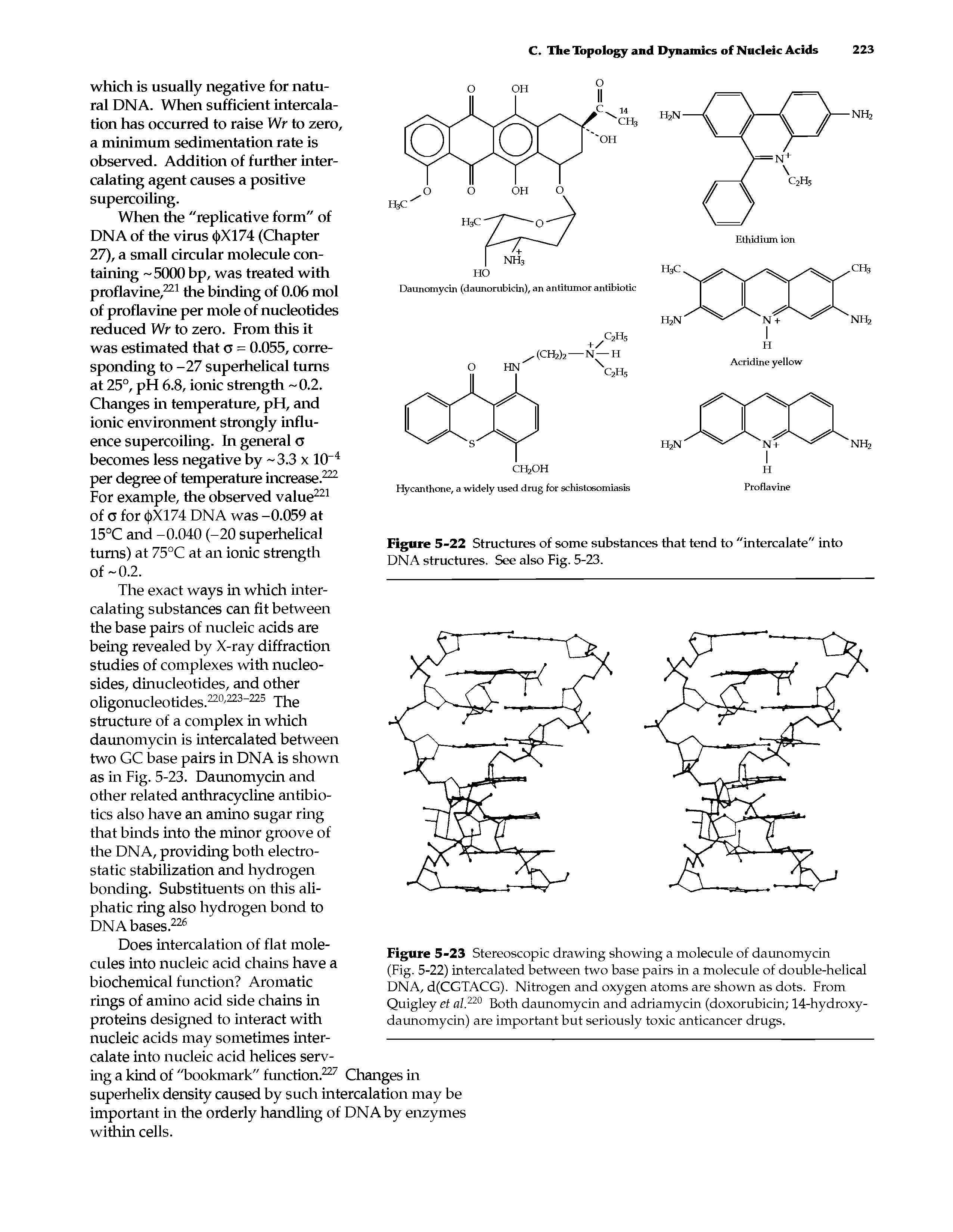 Figure 5-23 Stereoscopic drawing showing a molecule of daunomycin (Fig. 5-22) intercalated between two base pairs in a molecule of double-helical DNA, d(CGTACG). Nitrogen and oxygen atoms are shown as dots. From Quigley et al.220 Both daunomycin and adriamycin (doxorubicin 14-hydroxy-daunomycin) are important but seriously toxic anticancer drugs.