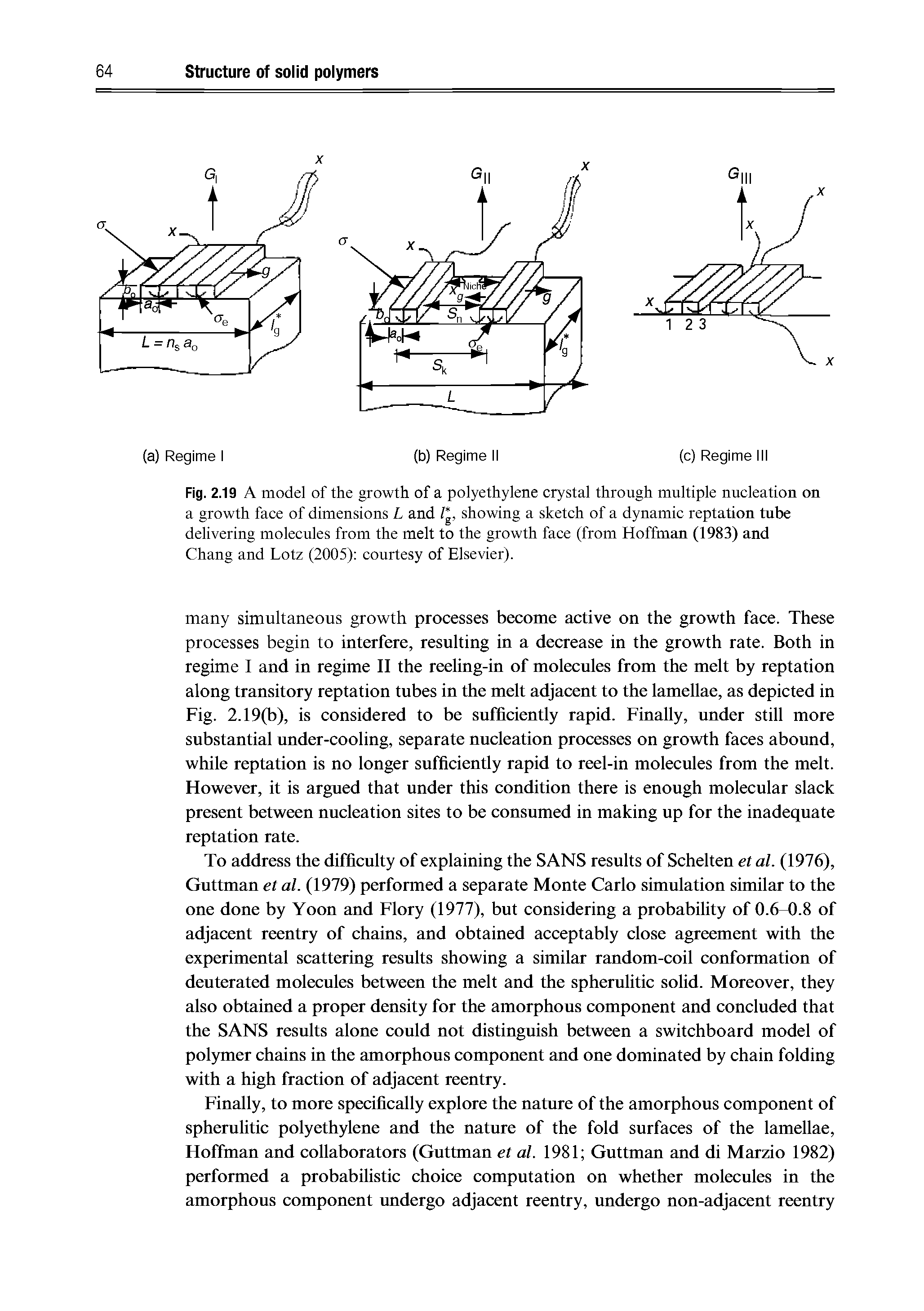 Fig. 2.19 A model of the growth of a polyethylene crystal through multiple nucleation on a growth face of dimensions L and i, showing a sketch of a dynamic reptation tube delivering molecules from the melt to the growth face (from Hoffman (1983) and Chang and Lotz (2005) courtesy of Elsevier).