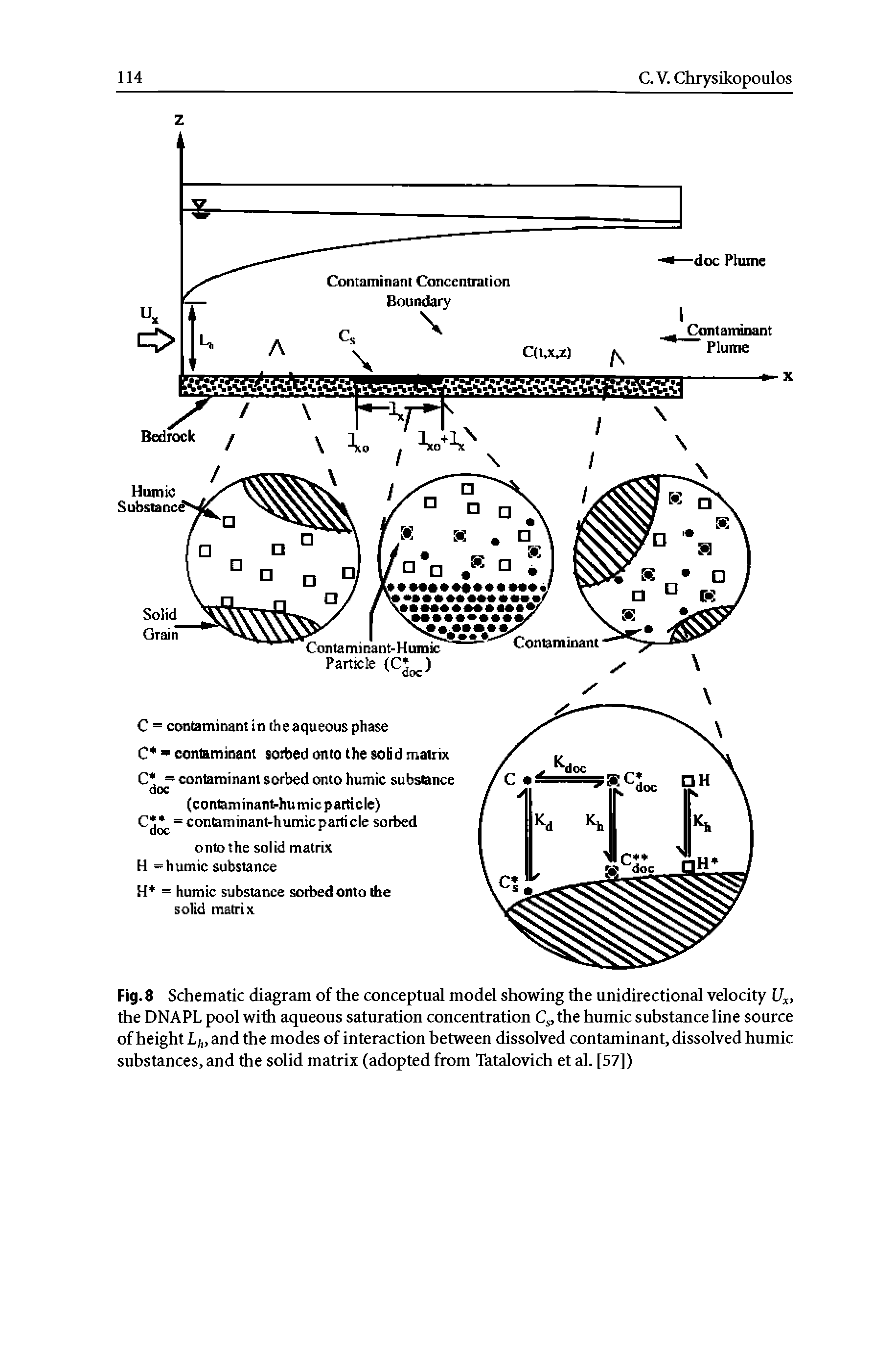 Fig. 8 Schematic diagram of the conceptual model showing the unidirectional velocity Ux, the DNAPL pool with aqueous saturation concentration Cs, the humic substance line source of height Lh> and the modes of interaction between dissolved contaminant, dissolved humic substances, and the solid matrix (adopted from Tatalovich et al. [57])...