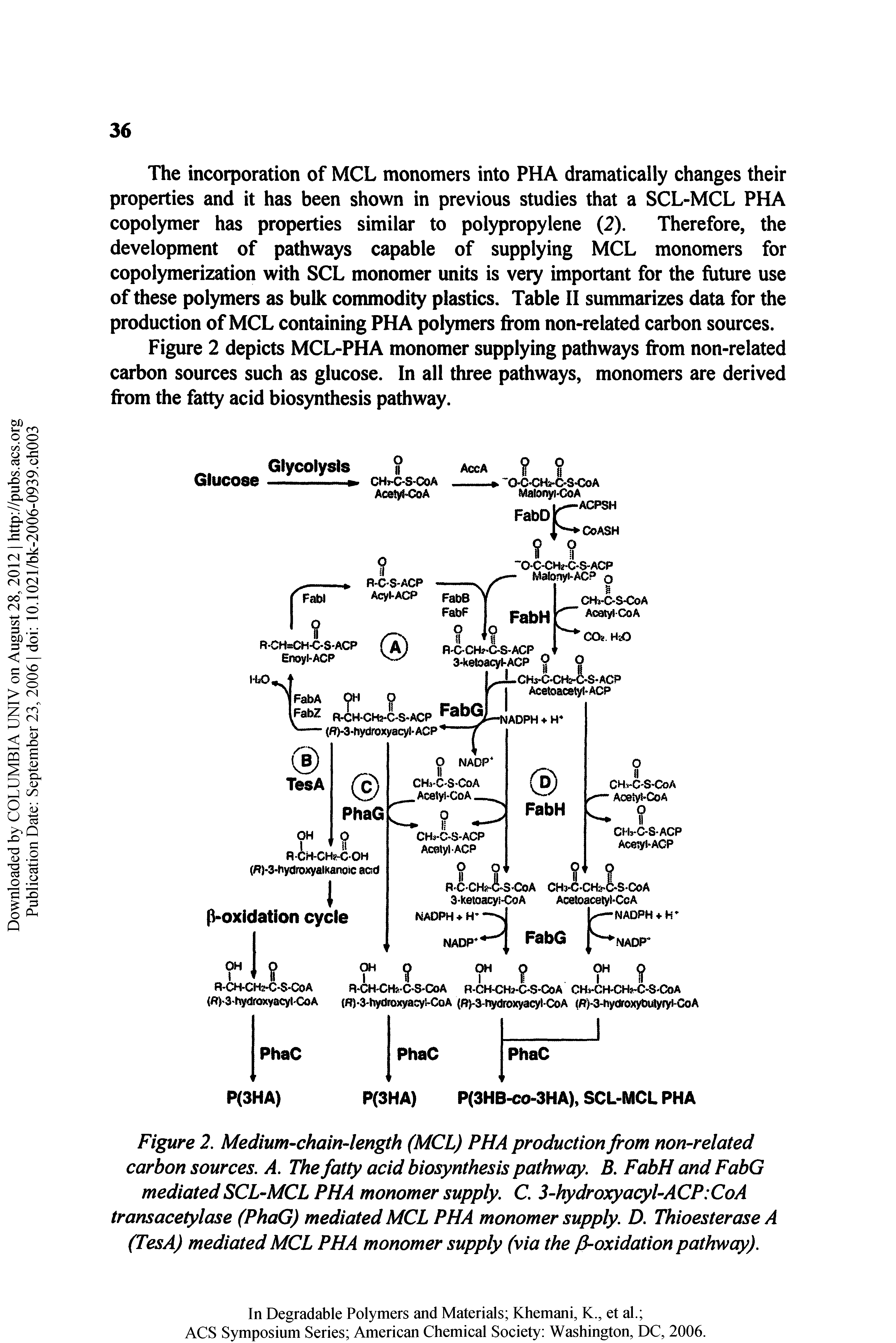 Figure 2. Medium-chain-length (MCL) PHA production from non-related carbon sources. A. The fatty acid biosynthesis pathway. B. FabH and FabG mediated SCL-MCL PHA monomer supply. C. 3-hydroxyacyl-ACP CoA transacetylase (PhaG) mediated MCL PHA monomer supply. D. Thioesterase A (TesA) mediated MCL PHA monomer supply (via the P-oxidation pathway).