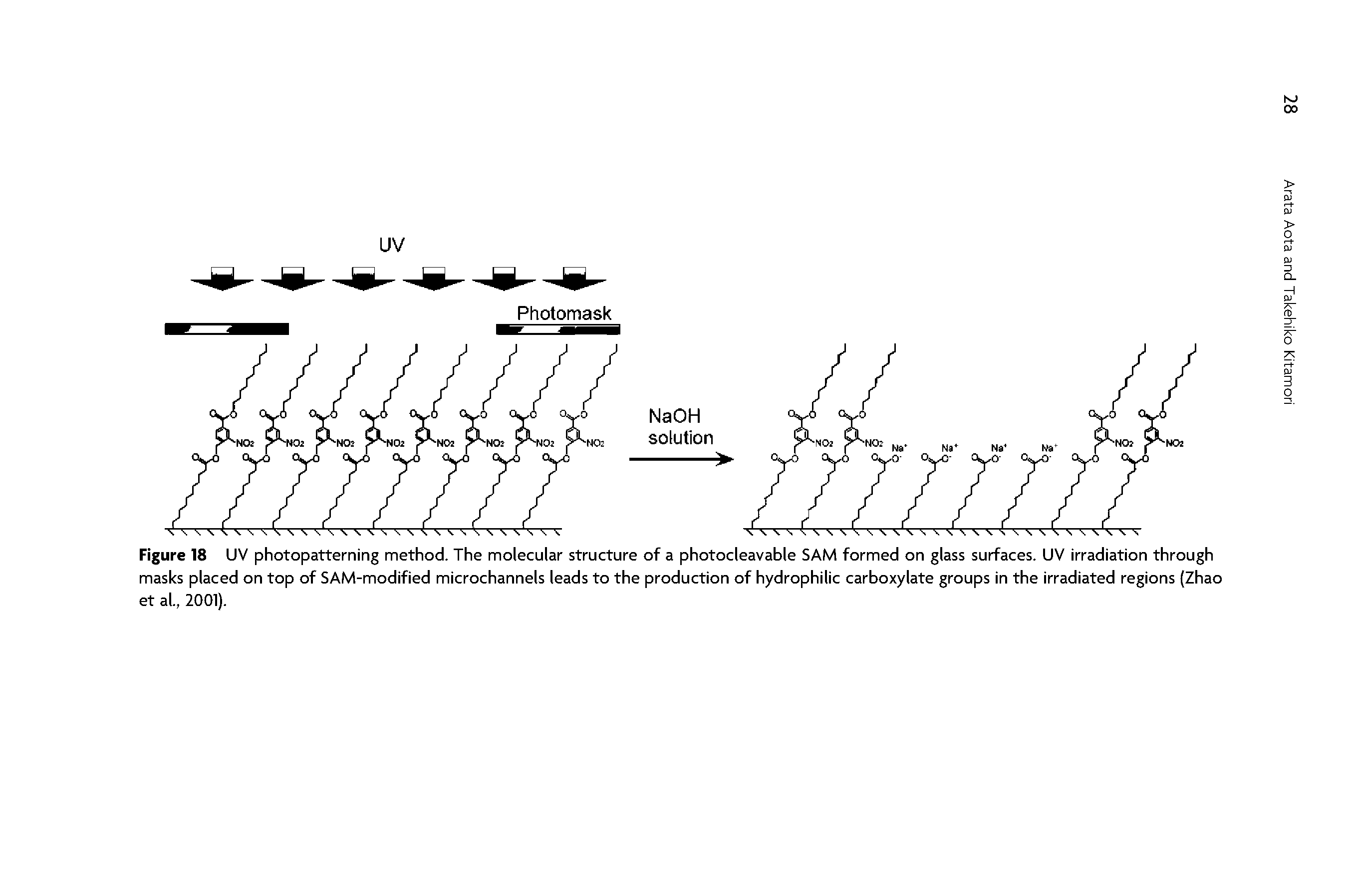 Figure 18 UV photopatterning method. The molecular structure of a photocleavable SAM formed on glass surfaces. UV irradiation through masks placed on top of SAM-modified microchannels leads to the production of hydrophilic carboxylate groups in the irradiated regions (Zhao et al, 2001).