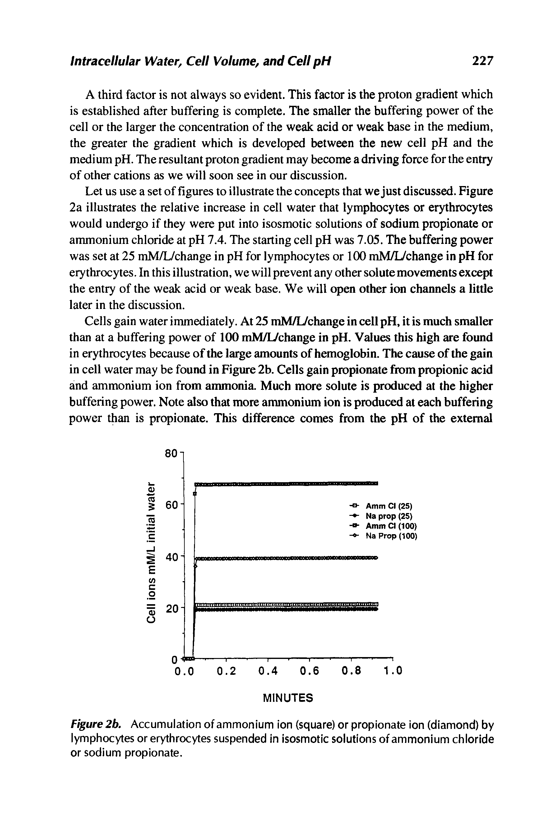 Figure 2b. Accumulation of ammonium ion (square) or propionate ion (diamond) by lymphocytes or erythrocytes suspended in isosmotic solutions of ammonium chloride or sodium propionate.