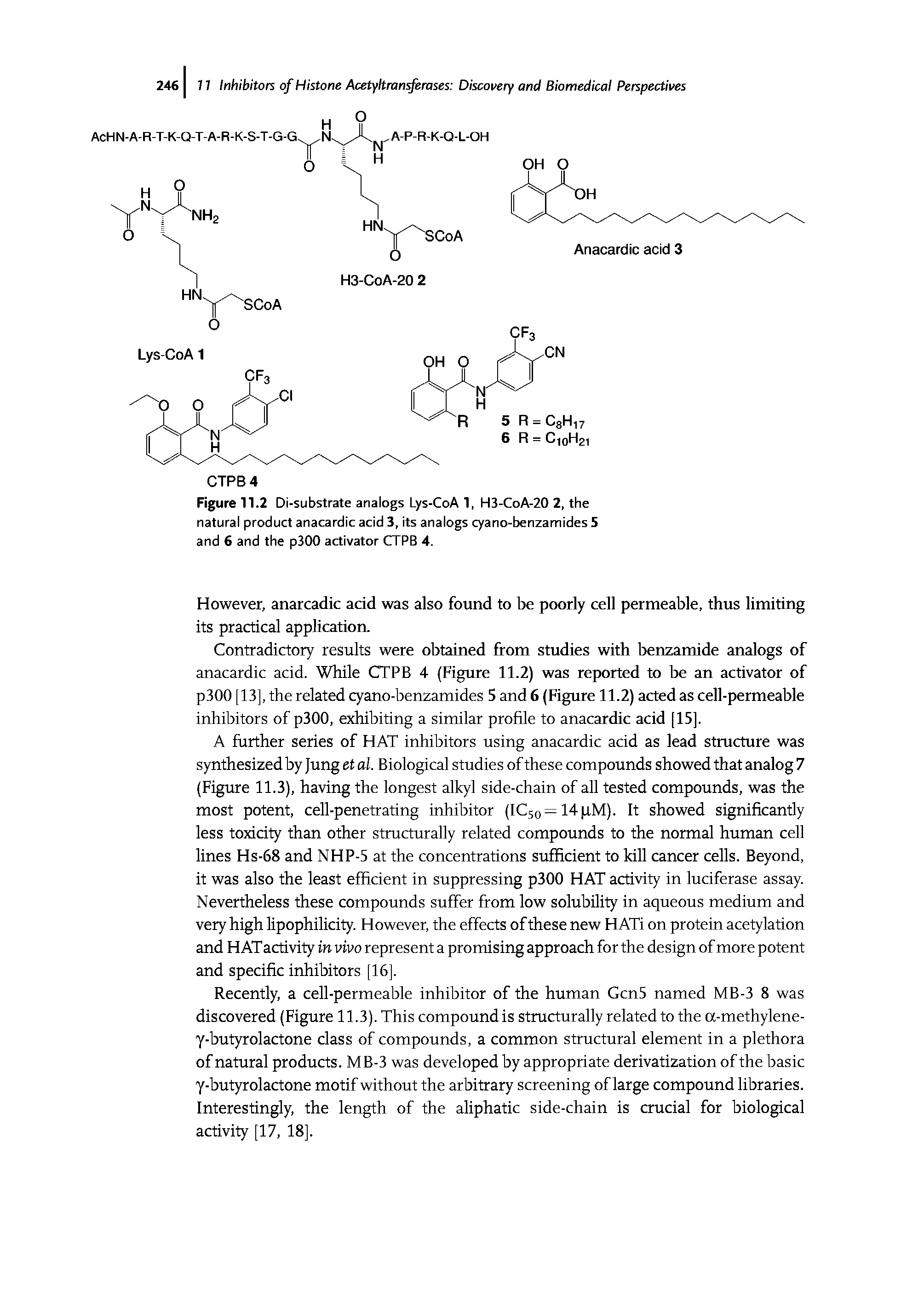 Figure 11.2 Di-substrate analogs Lys-CoA 1, H3-CoA-20 2, the natural product anacardic acid 3, its analogs cyano-benzamides 5 and 6 and the p300 activator CTPB 4.