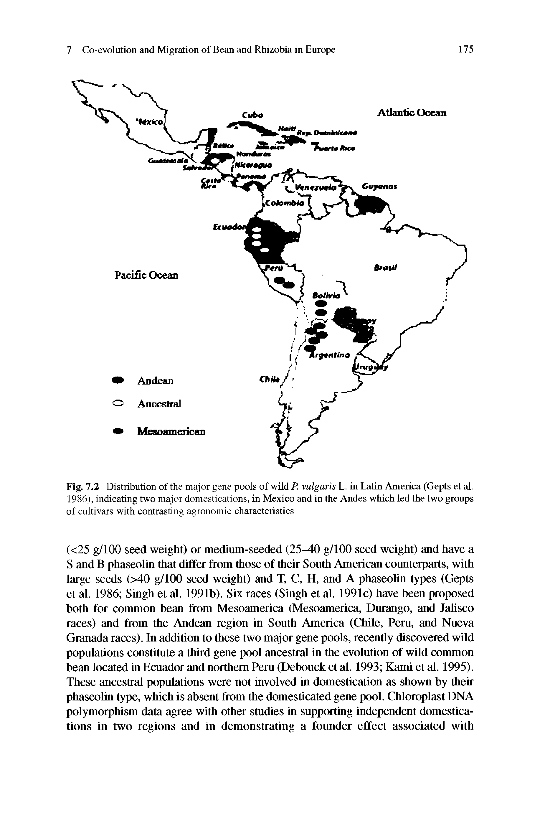 Fig. 7.2 Distribution of the major gene pools of wild P. vulgaris L. in Latin America (Gepts et al. 1986), indicating two major domestications, in Mexico and in the Andes which led the two groups of cultivars with contrasting agronomic characteristics...