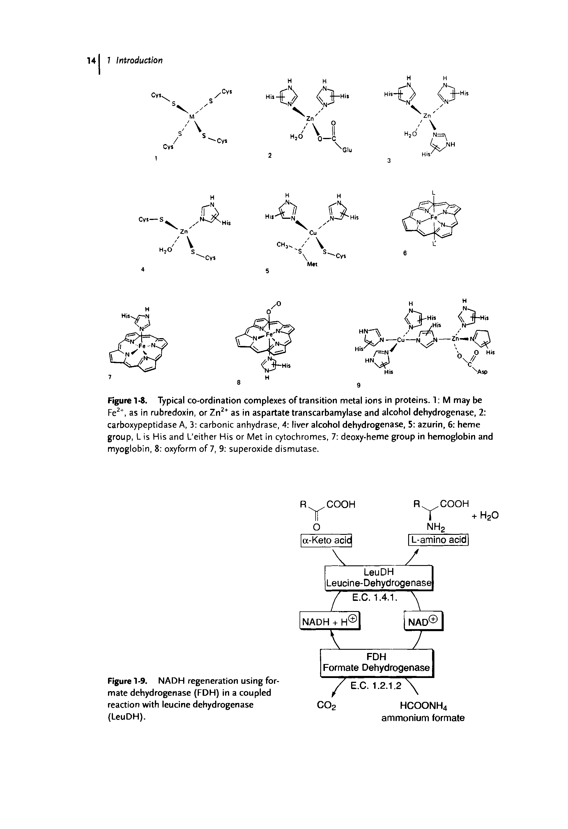 Figure 1-9. NADH regeneration using formate dehydrogenase (FDH) in a coupled reaction with leucine dehydrogenase (LeuDH).