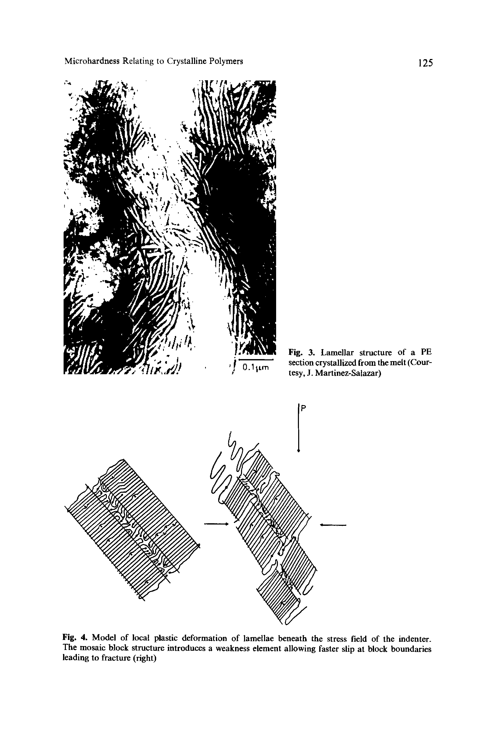 Fig. 4. Model of local plastic deformation of lamellae beneath the stress field of the indenter. The mosaic block structure introduces a weakness element allowing faster slip at block boundaries leading to fracture (right)...