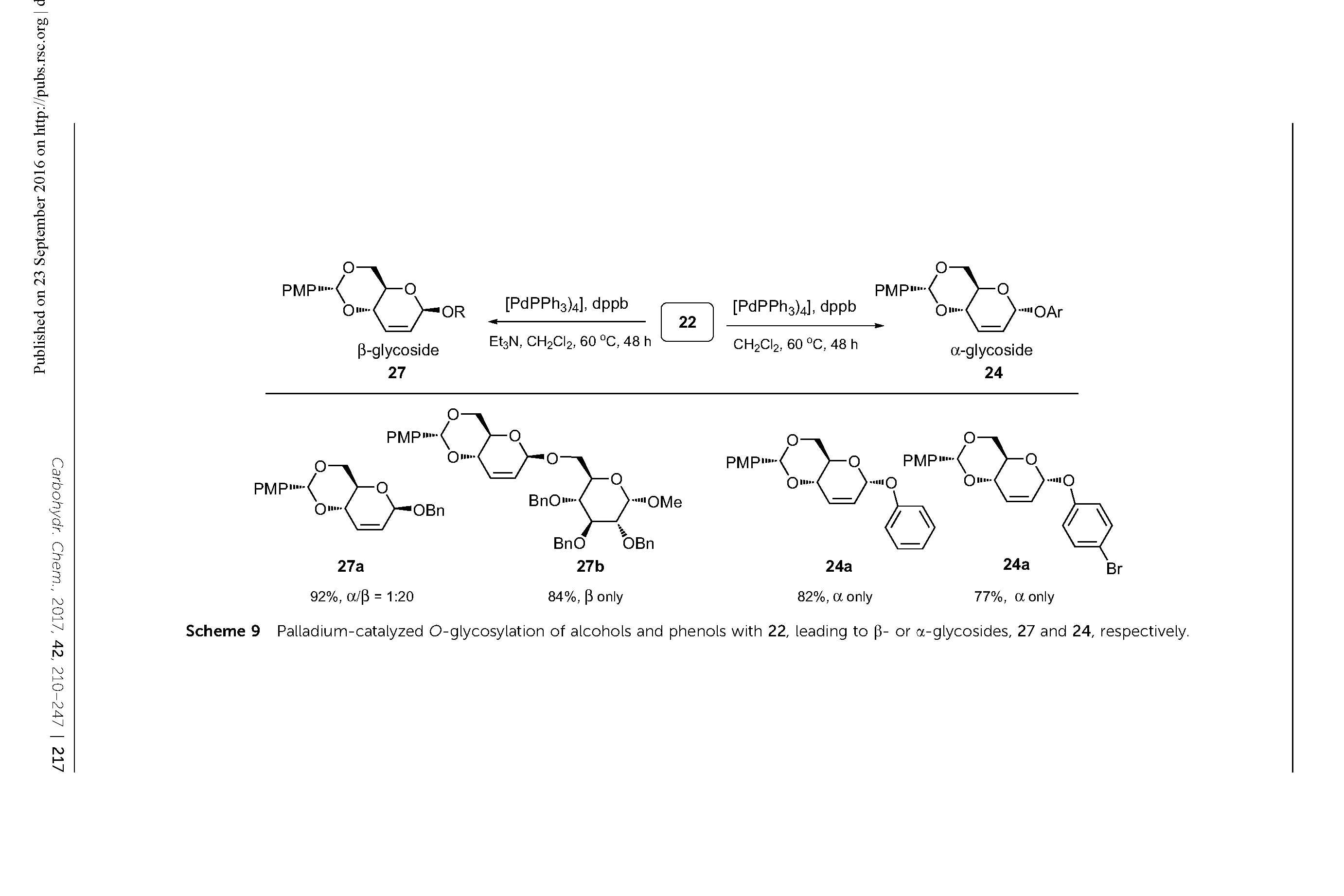 Scheme 9 Palladium-catalyzed O-glycosylation of alcohols and phenols with 22, leading to p- or a-glycosides, 27 and 24, respectively.