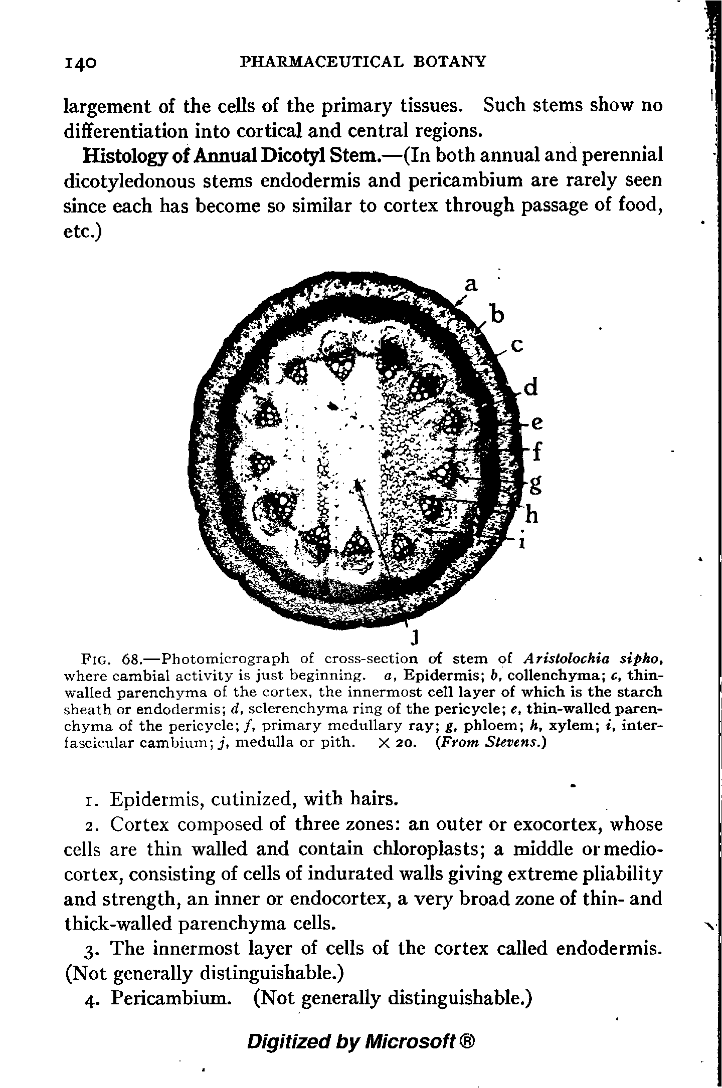 Fig. 68.—Photomicrograph of cross-section of stem of Aristolochia sipko, where cambial activity is just beginning, a, Epidermis b, coUenchyma c, thin-walled parenchyma of the cortex, the innermost cell layer of which is the starch sheath or endodermis d, sclerenchyma ring of the pericycle e, thin-walled parenchyma of the pericycle /, primary medullary ray g, phloem h, xylem interfascicular cambium medulla or pith. X 20. (From Stevens.)...