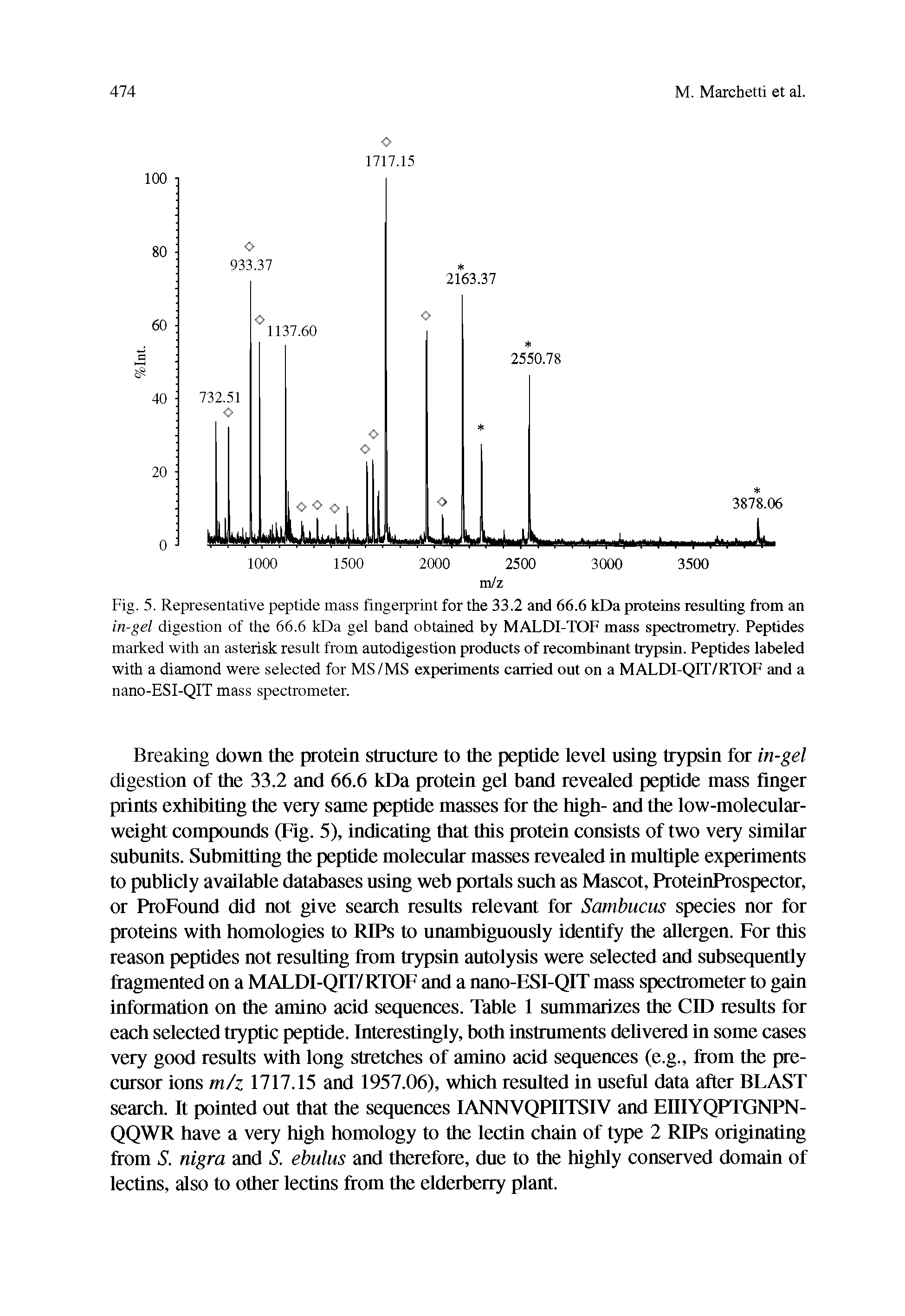 Fig. 5. Representative peptide mass fingerprint for the 33.2 and 66.6 kDa proteins resulting from an in-gel digestion of the 66.6 kDa gel band obtained by MALDI-TOF mass spectrometry. Peptides marked with an asterisk result from autodigestion products of recombinant trypsin. Peptides labeled with a diamond were selected for MS/MS experiments carried out on a MALDI-QIT/RTOF and a nano-ESI-QIT mass spectrometer.