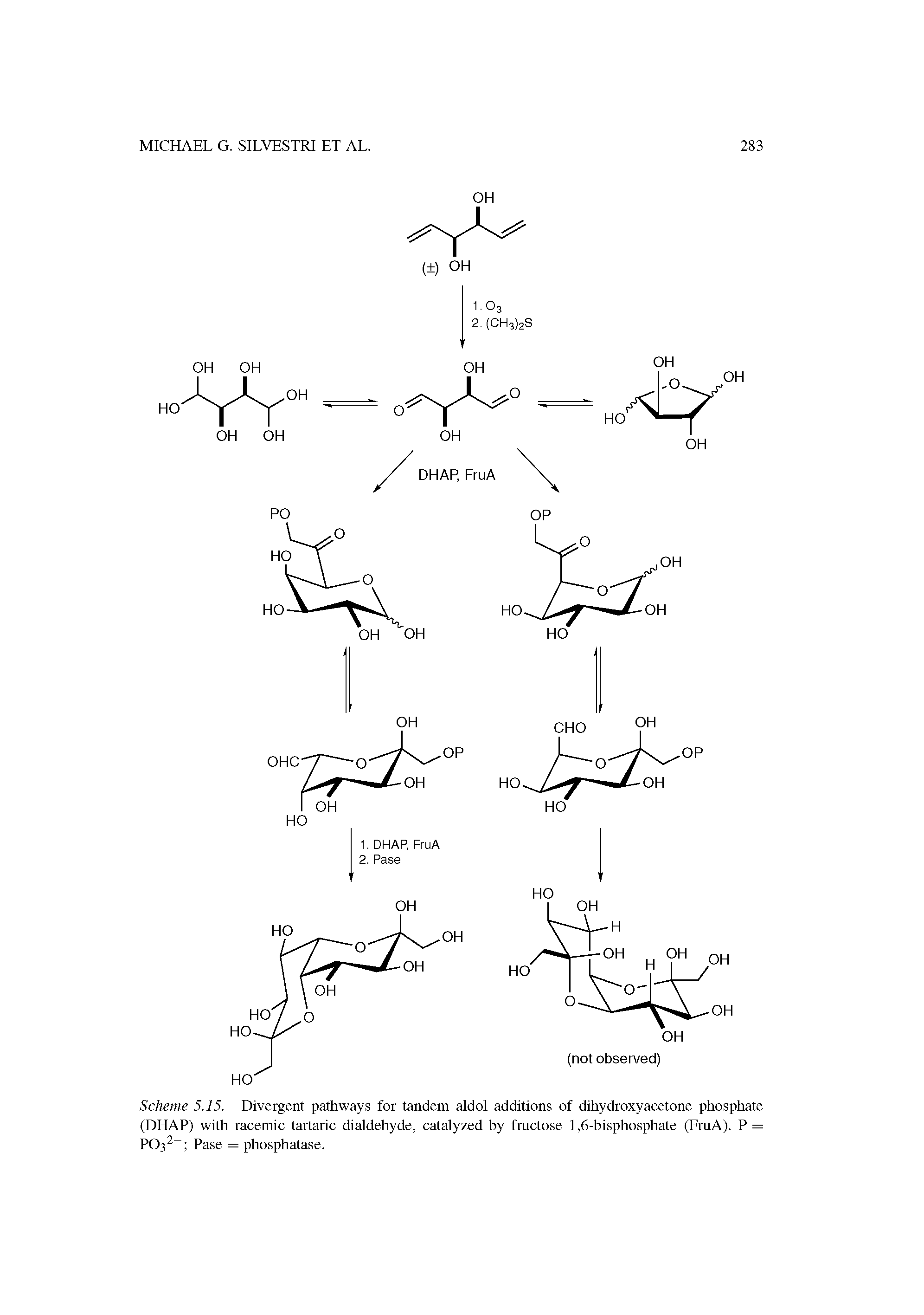 Scheme 5.15. Divergent pathways for tandem aldol additions of dihydroxyacetone phosphate (DHAP) with racemic tartaric dialdehyde, catalyzed by fmctose 1,6-bisphosphate (FruA). P = P032 Pase = phosphatase.