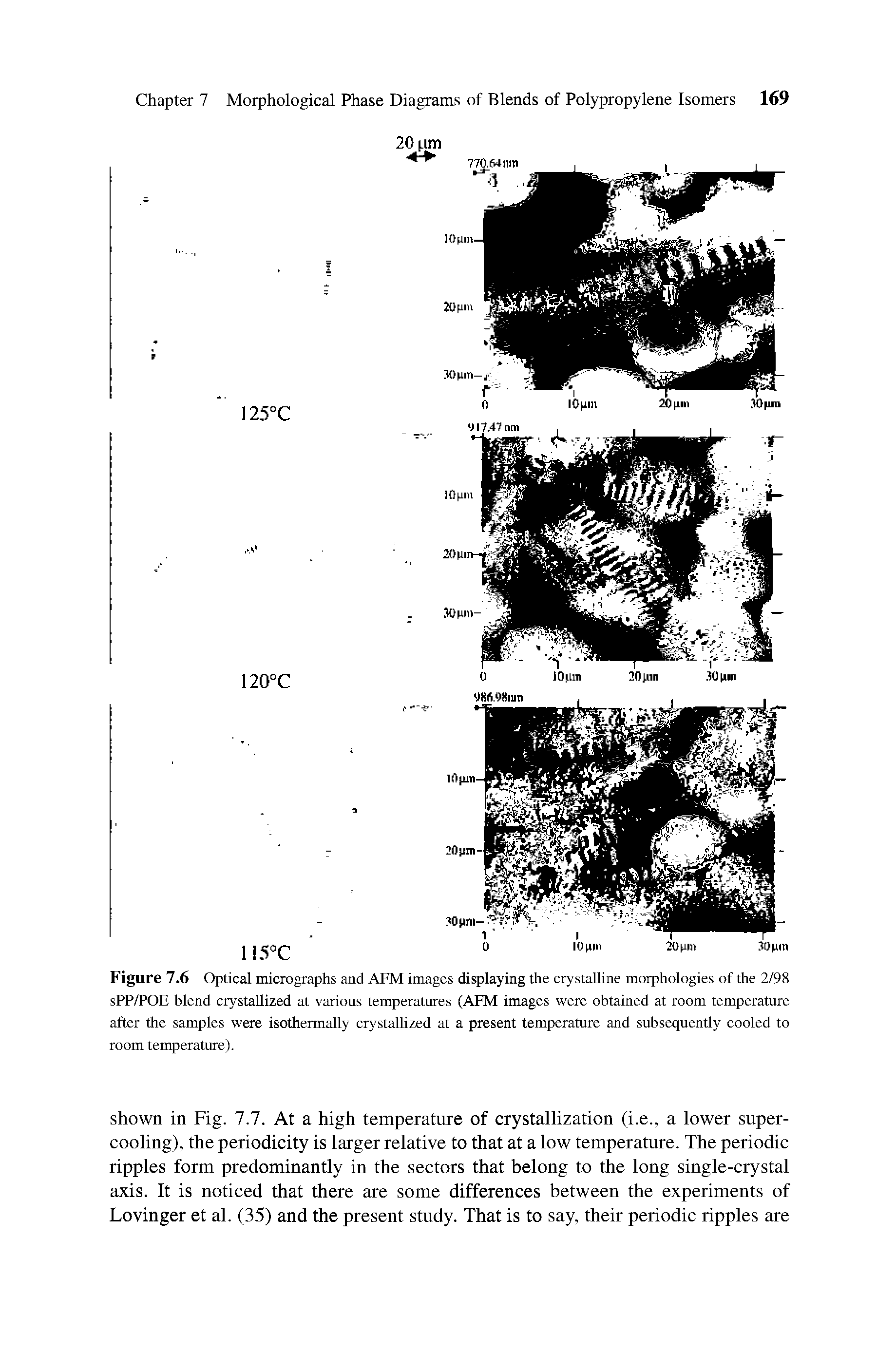 Figure 7.6 Optical micrographs and AFM images displaying the crystalline morphologies of the 2/98 sPP/POE blend crystallized at various temperatures (AFM images were obtained at room temperature after the samples were isothermally crystallized at a present temperature and subsequently cooled to room temperature).