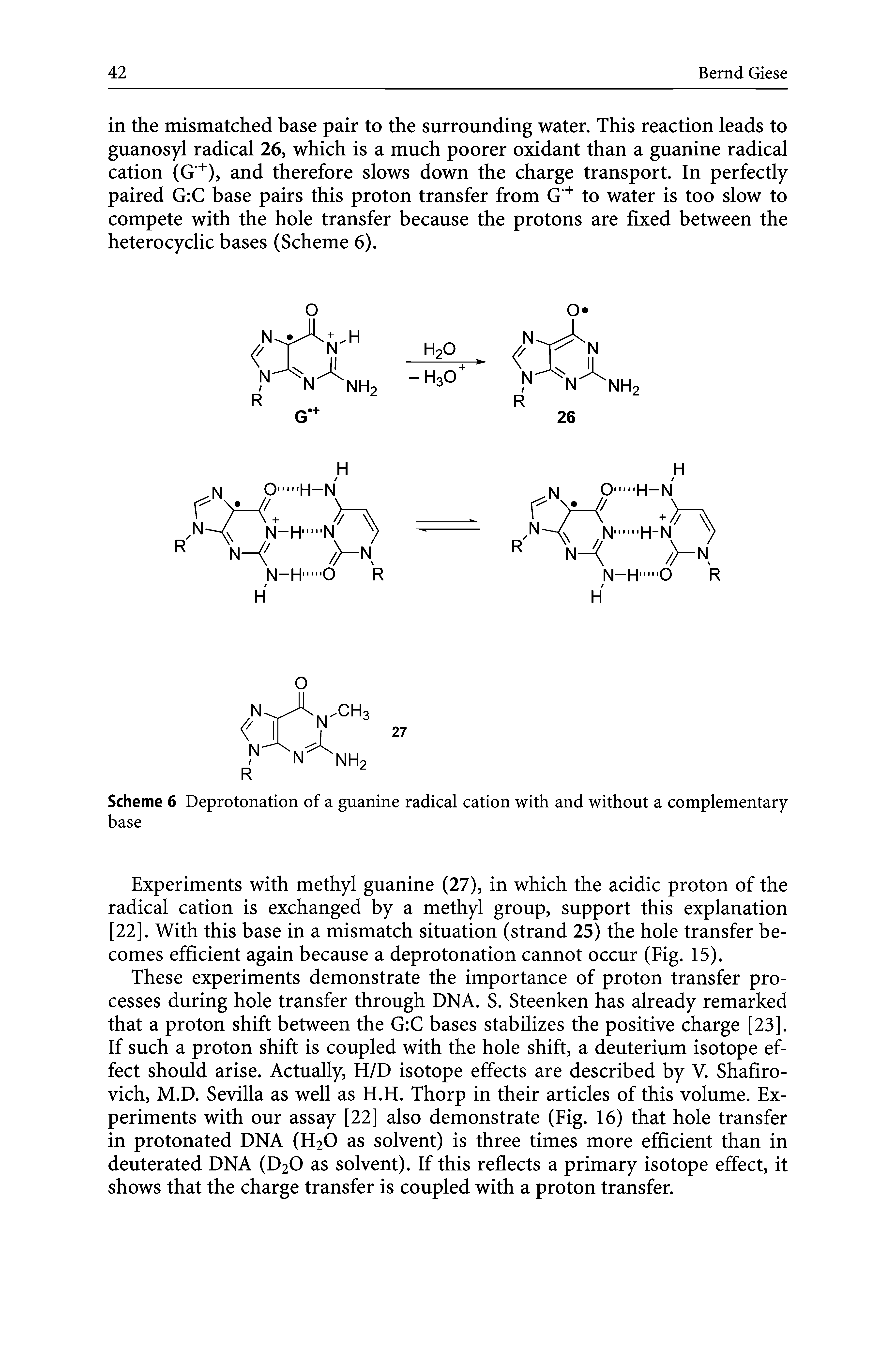 Scheme 6 Deprotonation of a guanine radical cation with and without a complementary base...