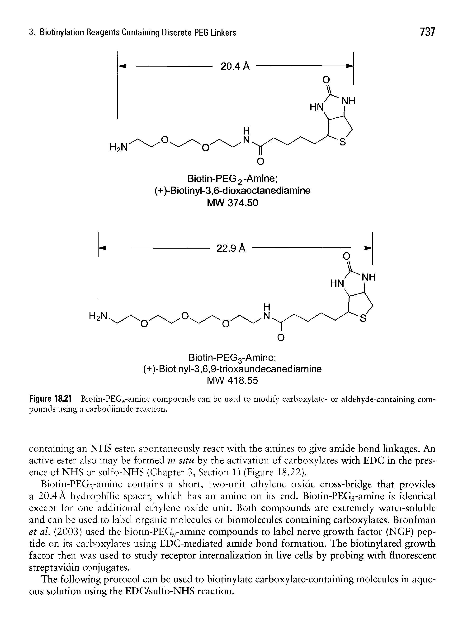 Figure 18.21 Biotin-PEG -amine compounds can be used to modify carboxylate- or aldehyde-containing compounds using a carbodiimide reaction.