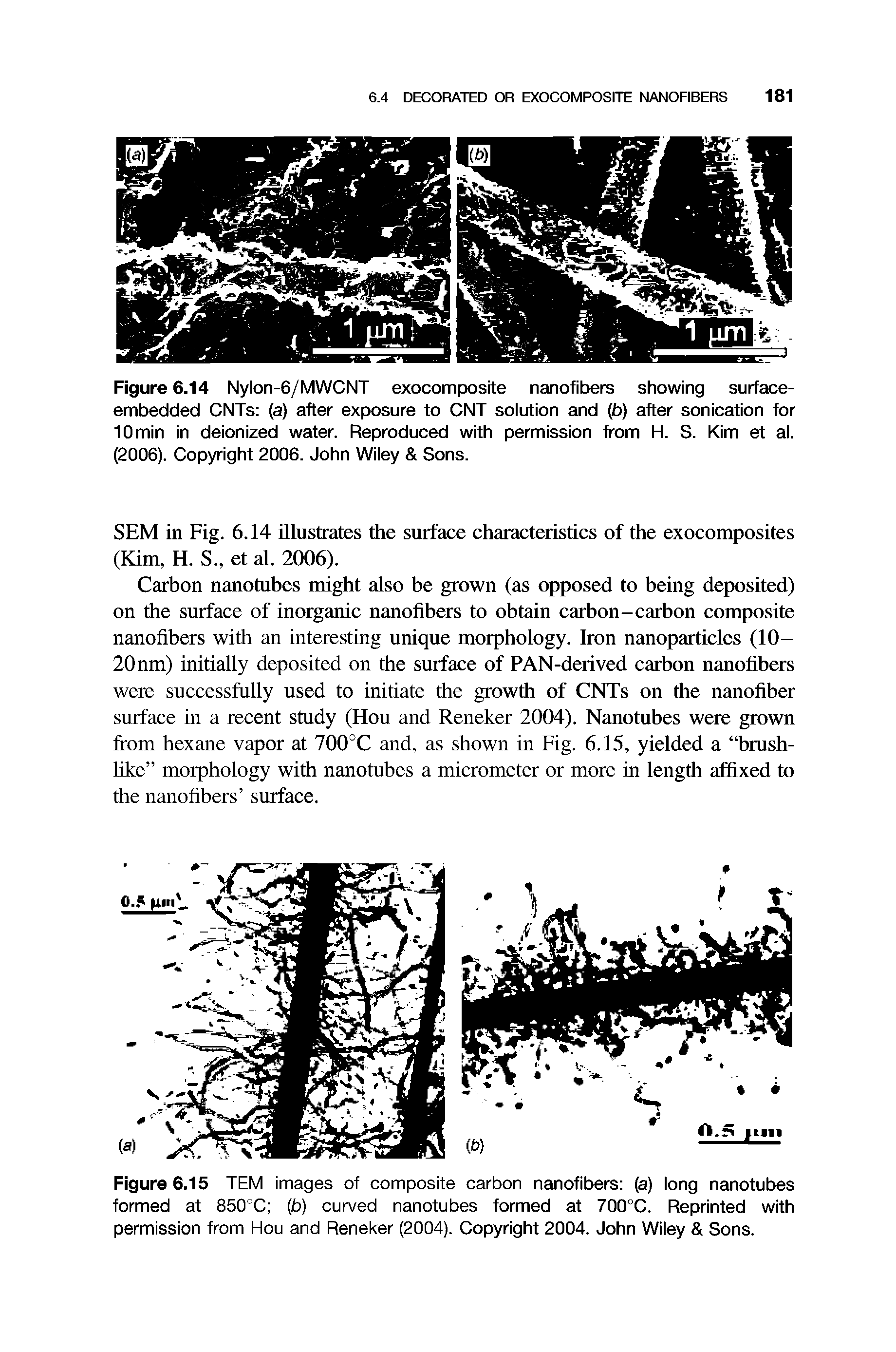 Figure 6.15 TEM images of composite carbon nanofibers (a) long nanotubes formed at 850°C (b) curved nanotubes formed at 700°C. Reprinted with permission from Hou and Reneker (2004). Copyright 2004. John Wiley Sons.