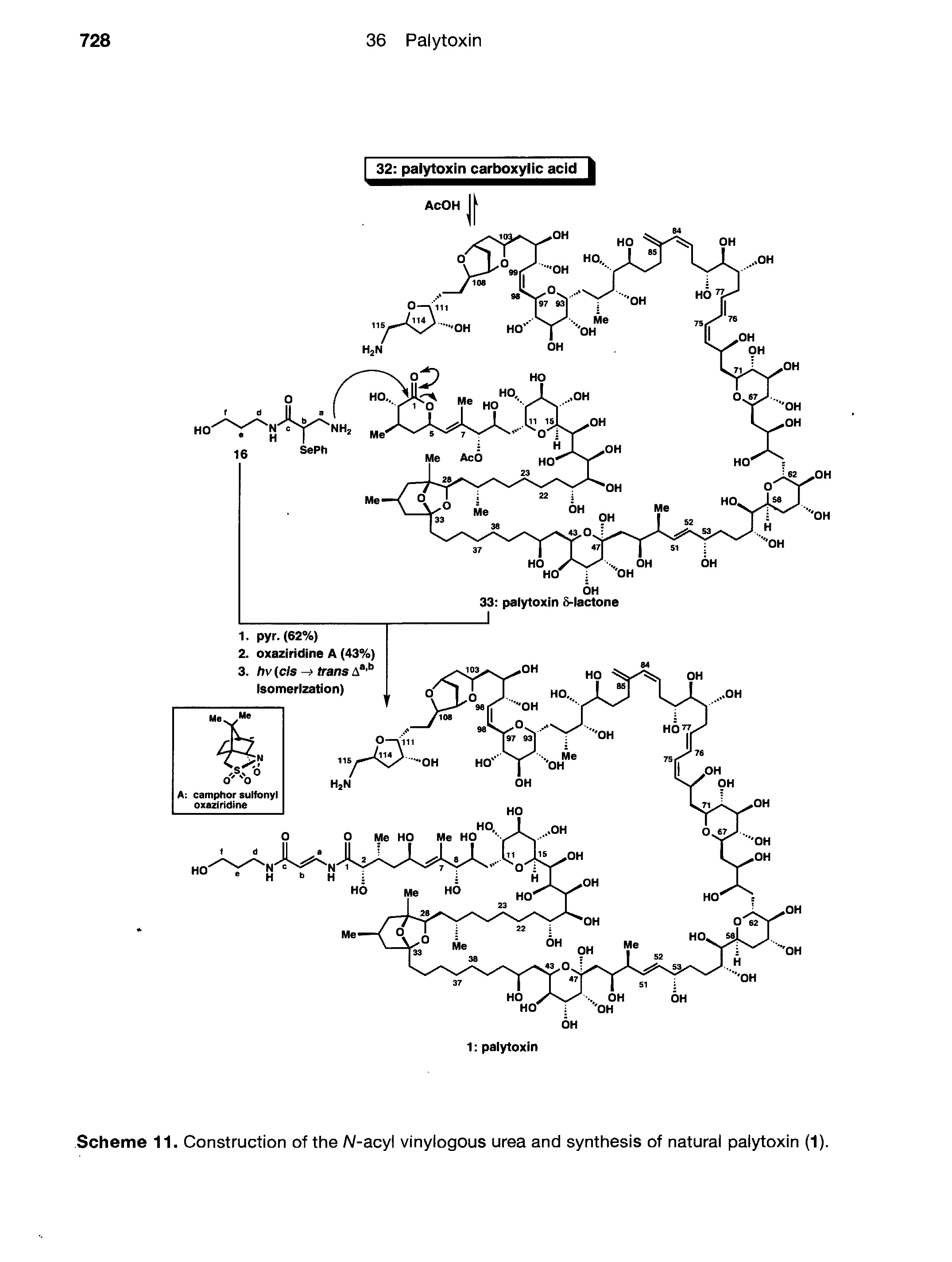 Scheme 11. Construction of the A/-acyl vinylogous urea and synthesis of natural palytoxin (1).