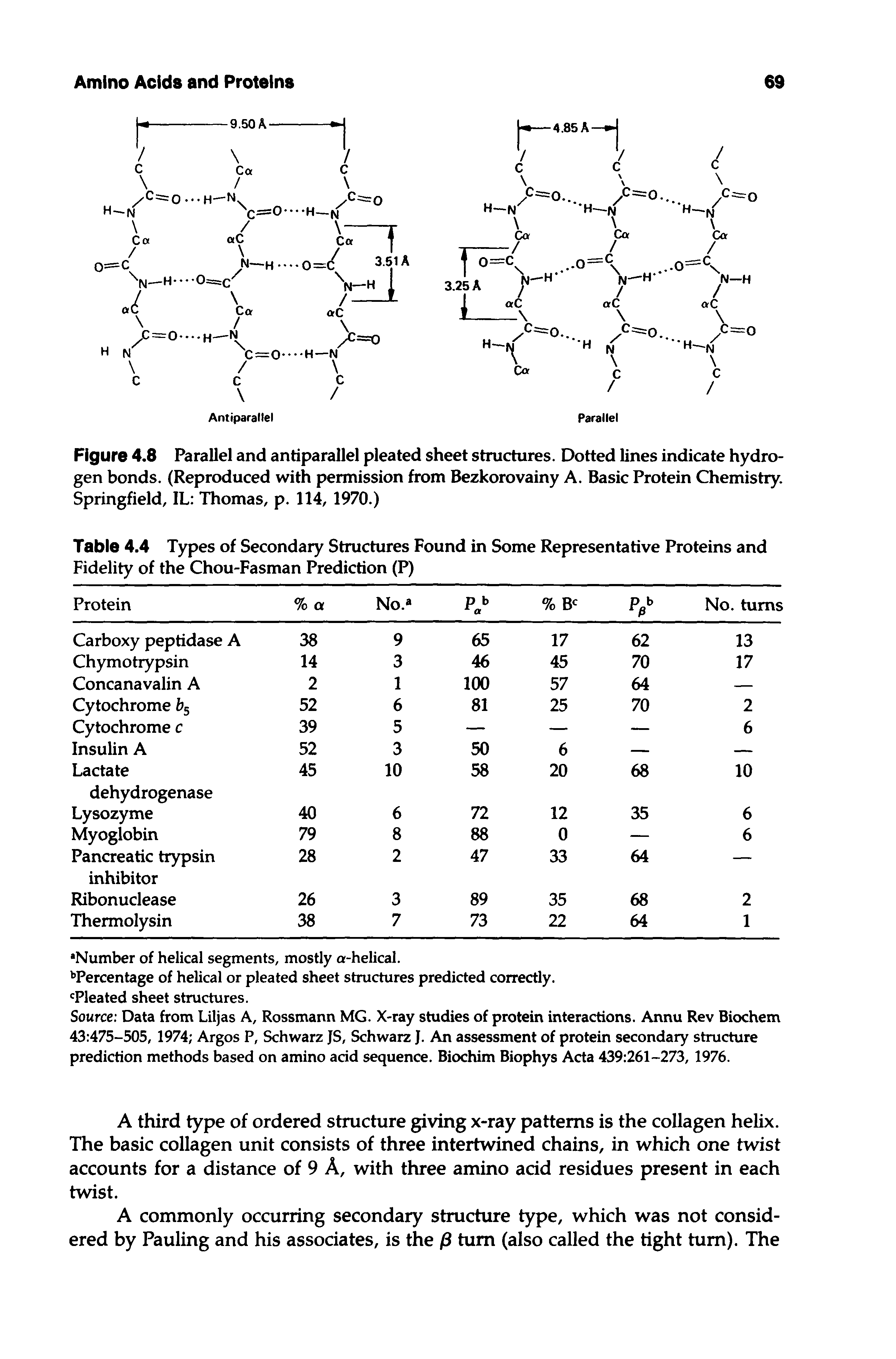 Figure 4.8 Parallel and antiparallel pleated sheet structures. Dotted lines indicate hydrogen bonds. (Reproduced with permission from Bezkorovainy A. Basic Protein Chemistry. Springfield, IL Thomas, p. 114, 1970.)...