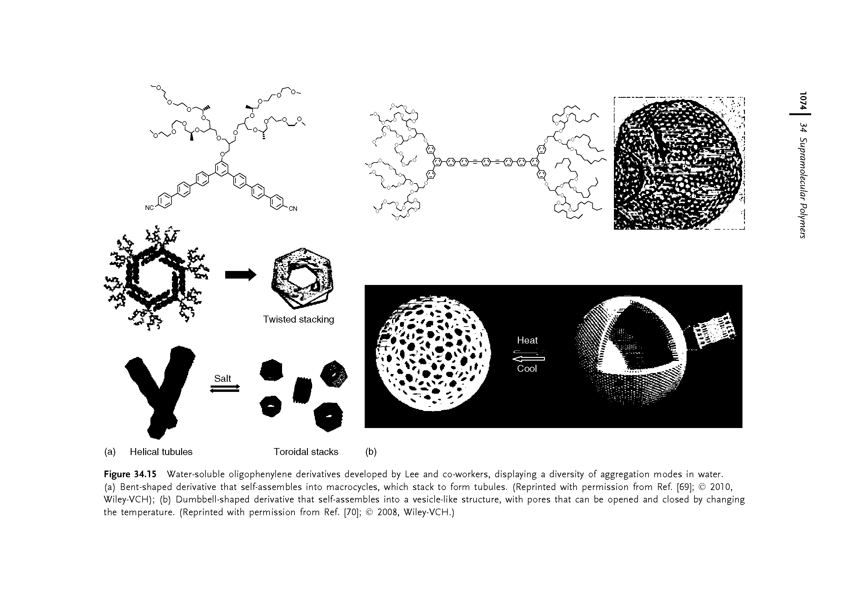 Figure 34.15 Water-soluble oligophenylene derivatives developed by Lee and co-workers, displaying a diversity of aggregation modes in water.