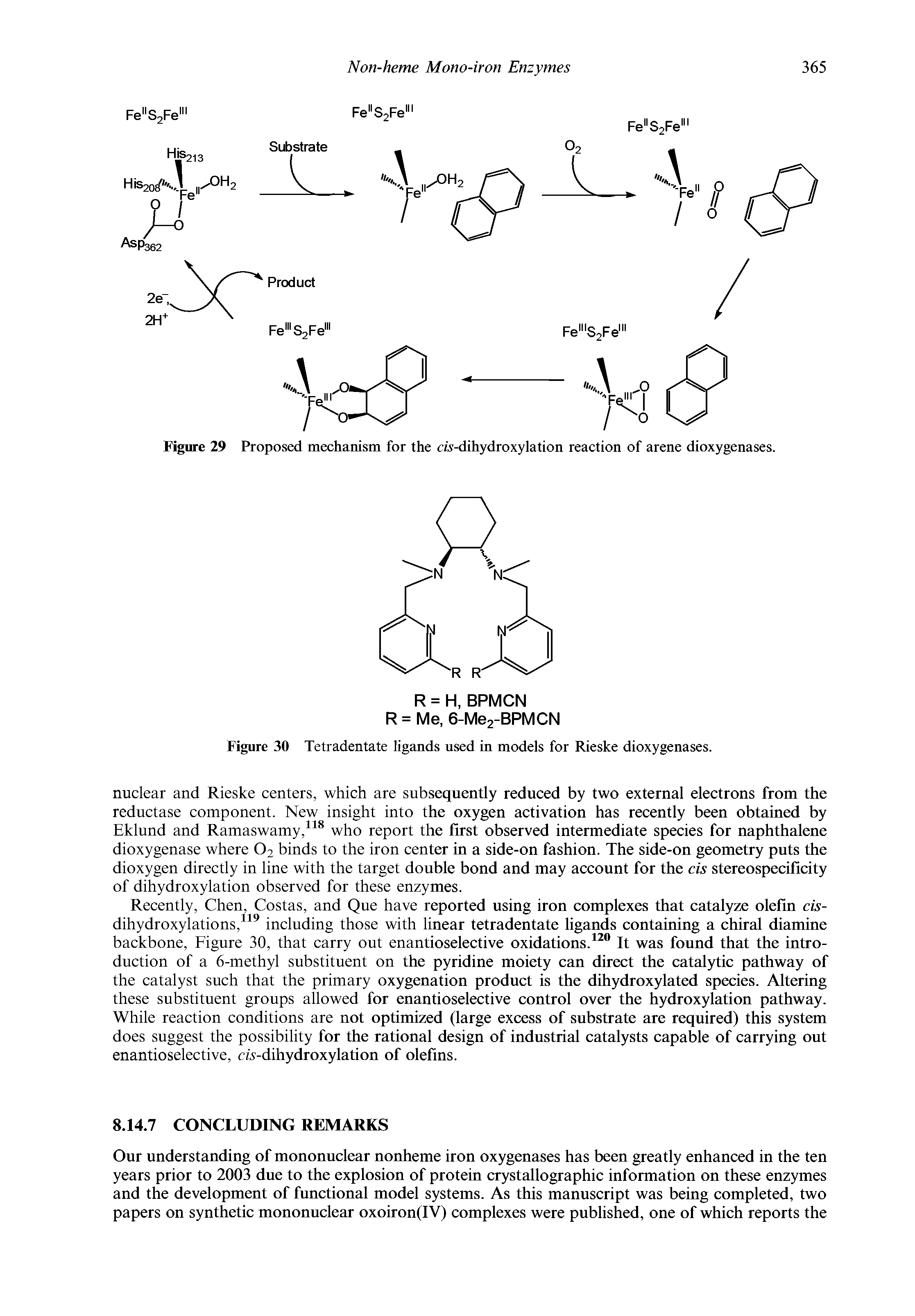 Figure 29 Proposed mechanism for the cis-dihydroxylation reaction of arene dioxygenases.