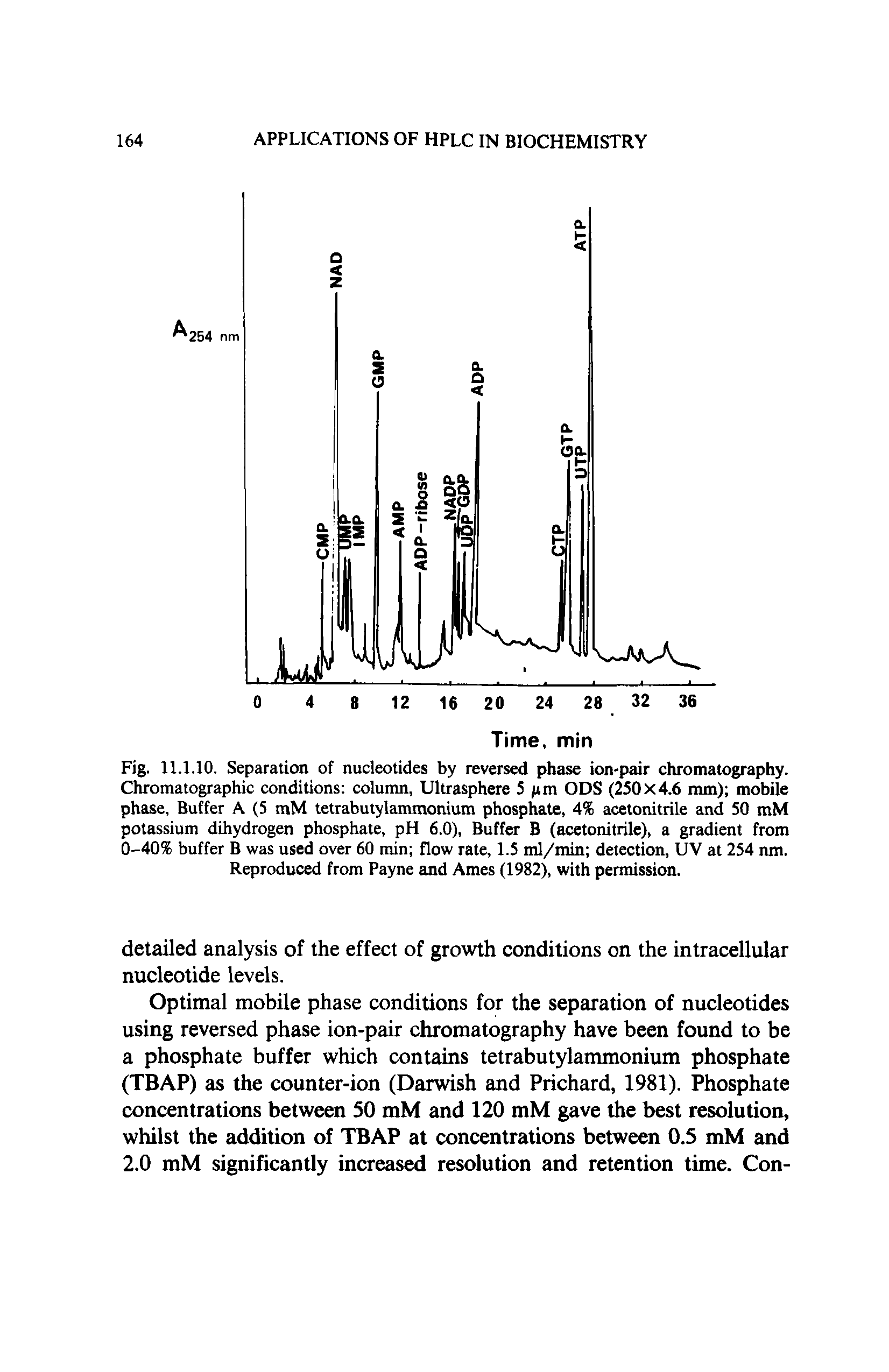 Fig. 11.1.10. Separation of nucleotides by reversed phase ion-pair chromatography. Chromatographic conditions column, Ultrasphere 5 (im ODS (250 x 4.6 mm) mobile phase, Buffer A (5 mM tetrabutylammonium phosphate, 4% acetonitrile and 50 mM potassium dihydrogen phosphate, pH 6.0), Buffer B (acetonitrile), a gradient from 0-40% buffer B was used over 60 min flow rate, 1.5 ml/min detection, UV at 254 nm. Reproduced from Payne and Ames (1982), with permission.