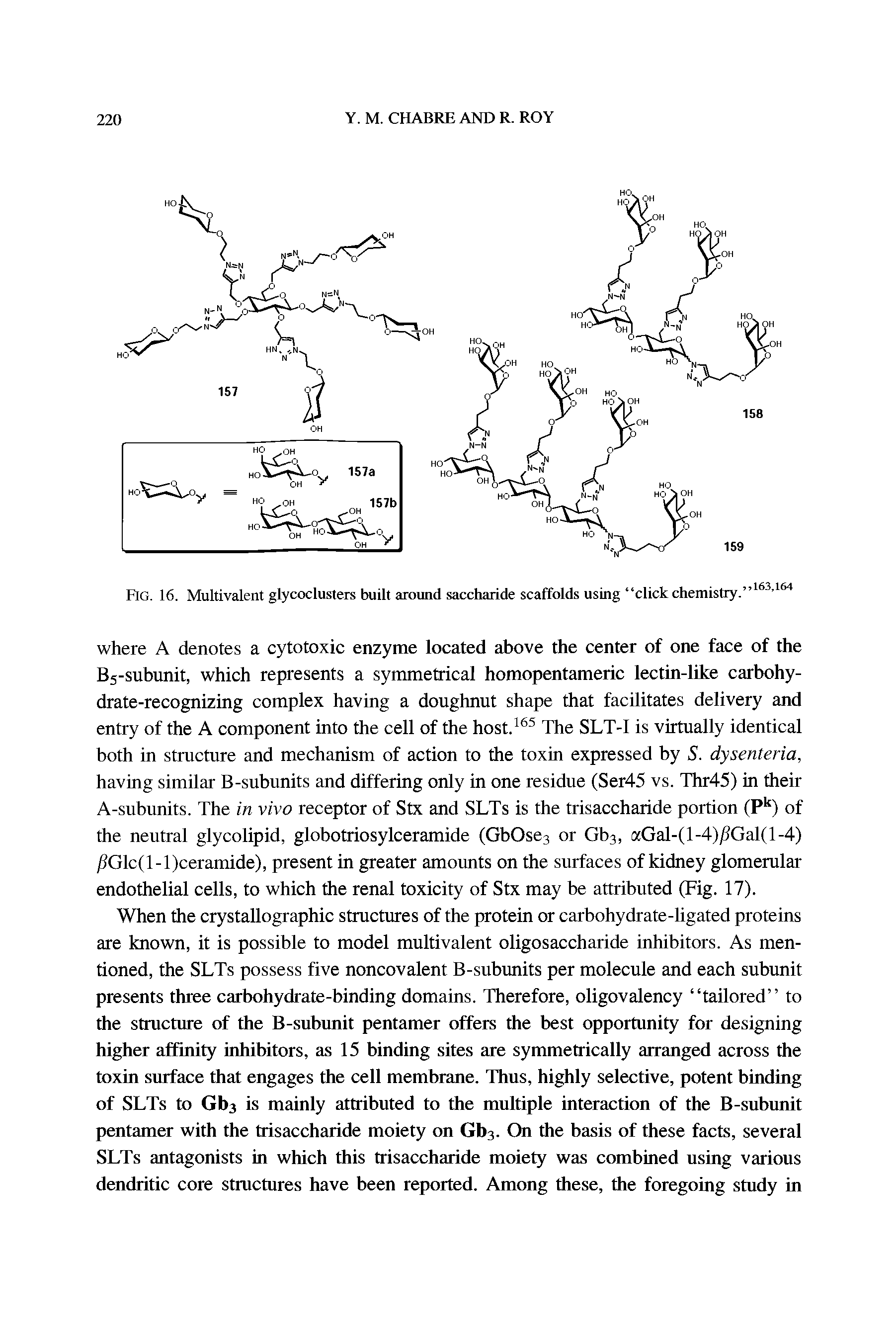Fig. 16. Multivalent glycoclusters built around saccharide scaffolds using click chemistry. 163 164...