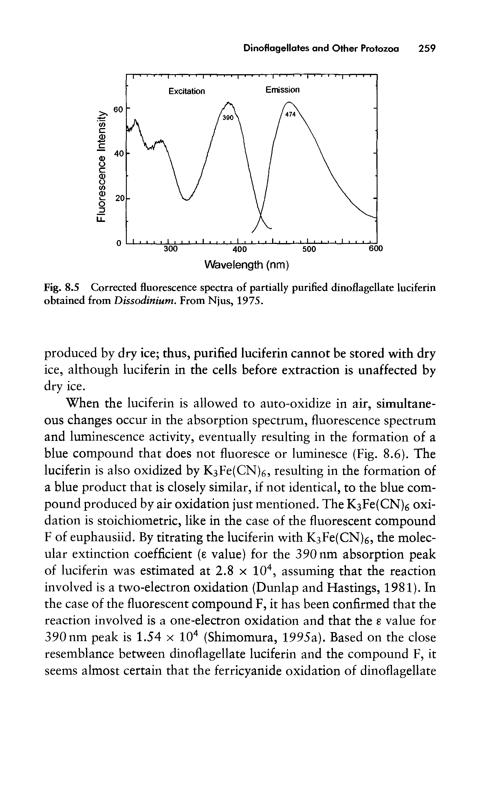 Fig. 8.5 Corrected fluorescence spectra of partially purified dinoflagellate luciferin obtained from Dissodinium. From Njus, 1975.