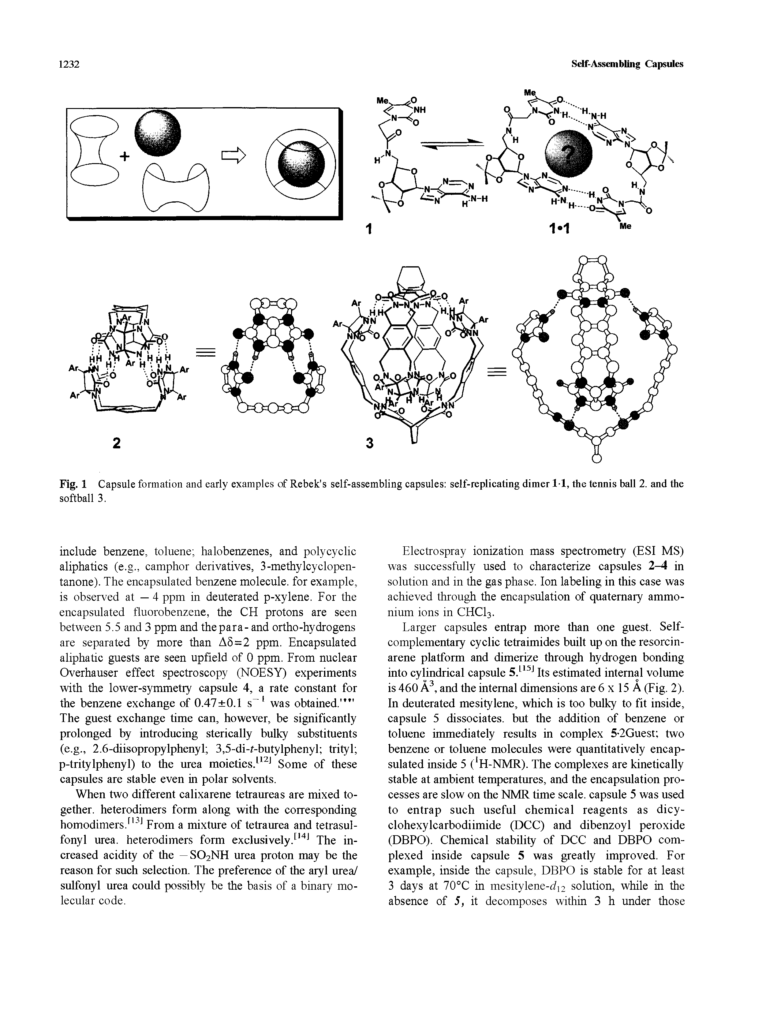 Fig. 1 Capsule formation and early examples of Rebek s self-assembling eapsules self-replicating dimer 1-1, the tennis ball 2. and the softball 3.