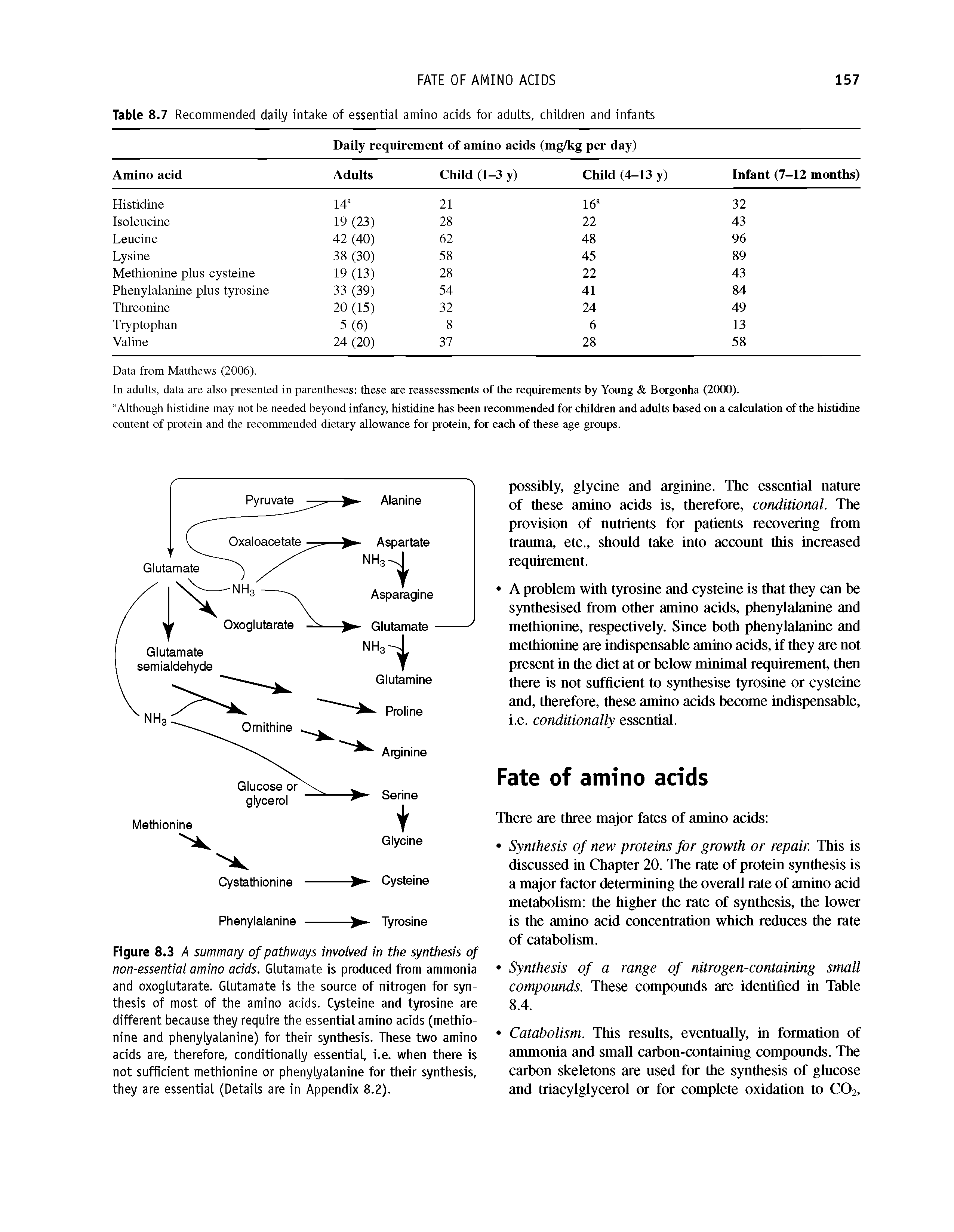 Figure 8.3 A summary of pathways involved in the synthesis of non-essential amino acids. Glutamate is produced from ammonia and oxoglutarate. Glutamate is the source of nitrogen for synthesis of most of the amino acids. Cysteine and tyrosine are different because they require the essential amino acids (methionine and phenylyalanine) for their synthesis. These two amino acids are, therefore, conditionally essential, i.e. when there is not sufficient methionine or phenylyalanine for their synthesis, they are essential (Details are in Appendix 8.2).