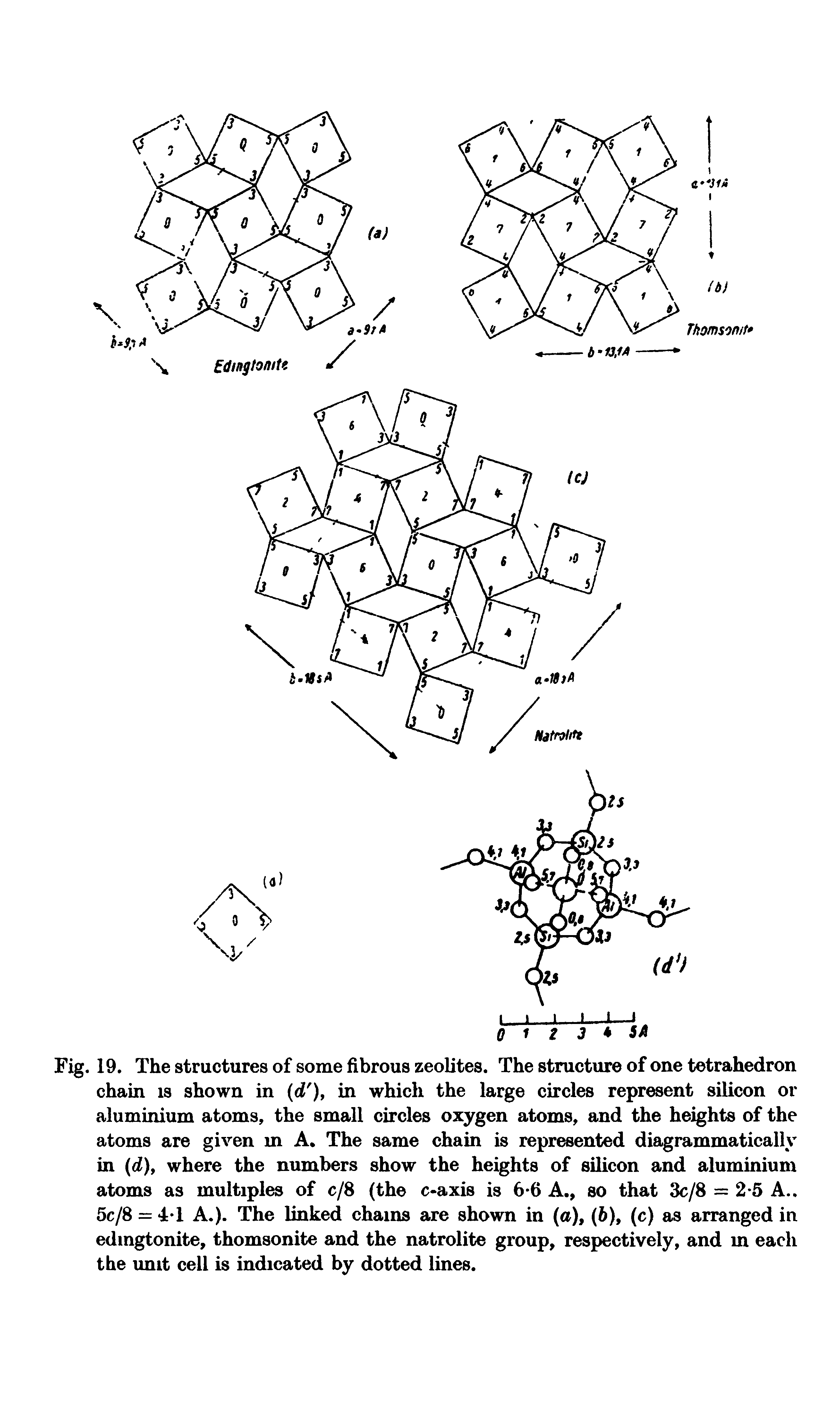 Fig. 19. The structures of some fibrous zeolites. The structure of one tetrahedron chain is shown in (d ), in which the large circles represent silicon or aluminium atoms, the small circles oxygen atoms, and the heights of the atoms are given m A The same chain is represented diagrammatically in (d), where the numbers show the heights of silicon and aluminium atoms as multiples of c/8 (the c axis is 6 6 A., so that 3c/8 = 2 5 A.. 5c/8 = 4 1 A.). The linked chains are shown in (a), (6), (c) as arranged in edingtonite, thomsonite and the natrolite group, respectively, and m each the imit cell is indicated by dotted lines.