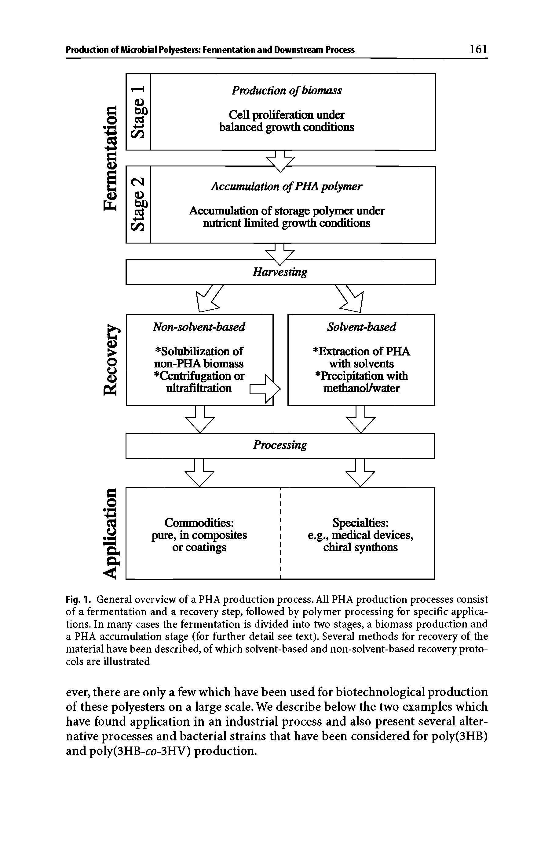 Fig. 1. General overview of a PHA production process. All PHA production processes consist of a fermentation and a recovery step, followed by polymer processing for specific applications. In many cases the fermentation is divided into two stages, a biomass production and a PHA accumulation stage (for further detail see text). Several methods for recovery of the material have been described, of which solvent-based and non-solvent-based recovery protocols are illustrated...