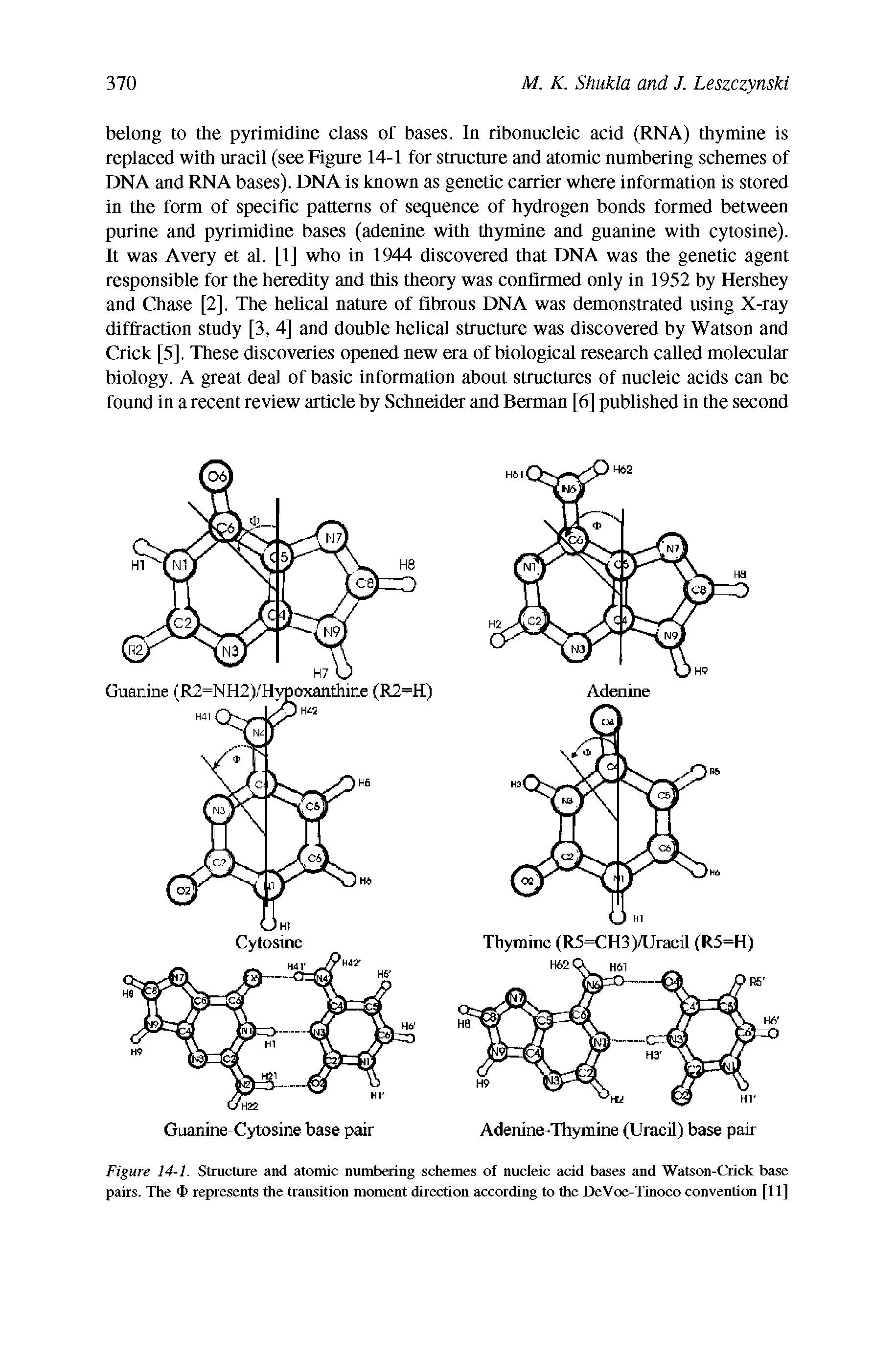 Figure 14-1. Structure and atomic numbering schemes of nucleic acid bases and Watson-Crick base pairs. The <I> represents the transition moment direction according to the DeVoe-Tinoco convention [11]...