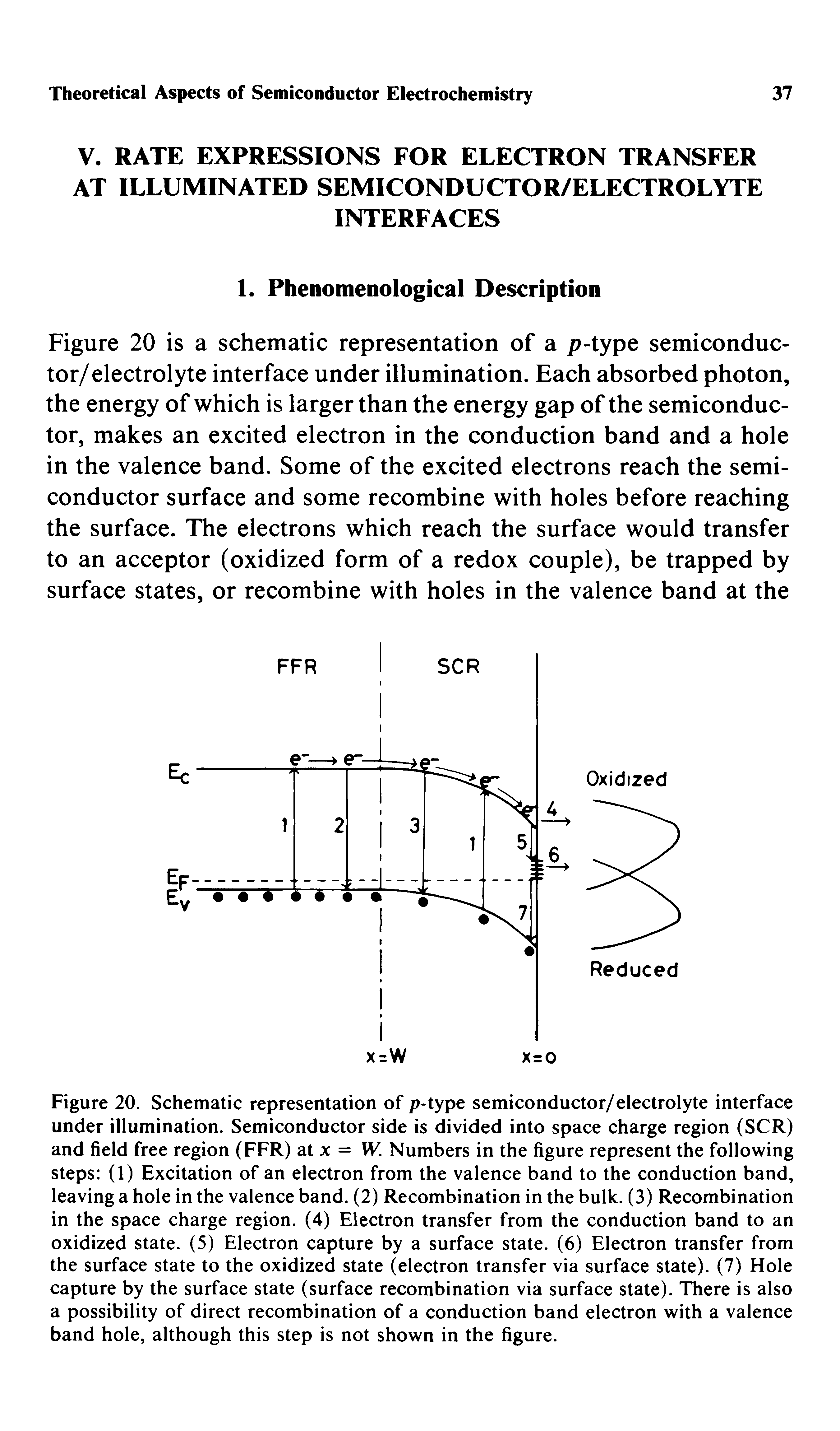 Figure 20. Schematic representation of p-type semiconductor/electrolyte interface under illumination. Semiconductor side is divided into space charge region (SCR) and field free region (FFR) at x = W. Numbers in the figure represent the following steps (1) Excitation of an electron from the valence band to the conduction band, leaving a hole in the valence band. (2) Recombination in the bulk. (3) Recombination in the space charge region. (4) Electron transfer from the conduction band to an oxidized state. (5) Electron capture by a surface state. (6) Electron transfer from the surface state to the oxidized state (electron transfer via surface state). (7) Hole capture by the surface state (surface recombination via surface state). There is also a possibility of direct recombination of a conduction band electron with a valence band hole, although this step is not shown in the figure.