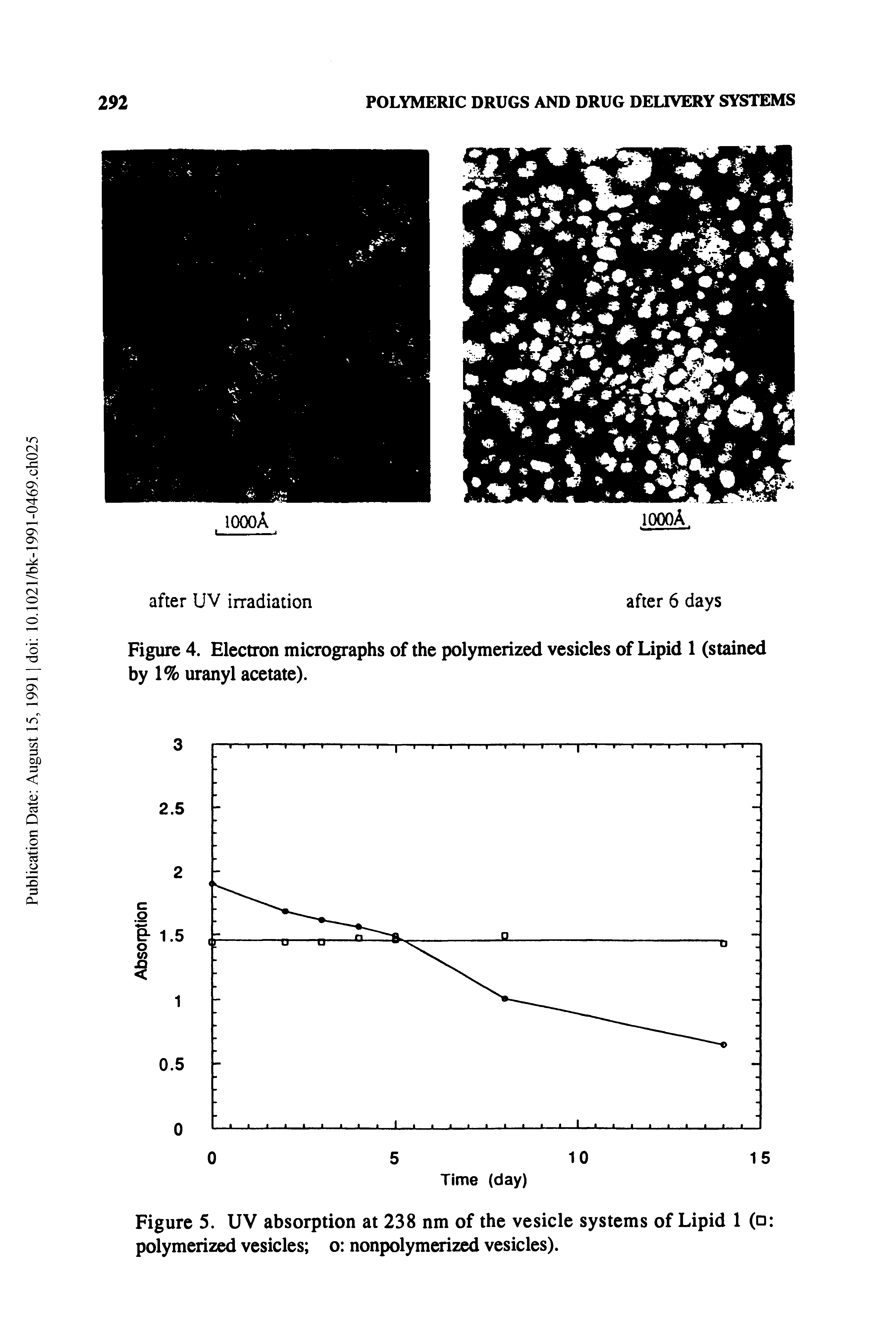 Figure 4. Electron micrographs of the polymerized vesicles of Lipid 1 (stained by 1% uranyl acetate).
