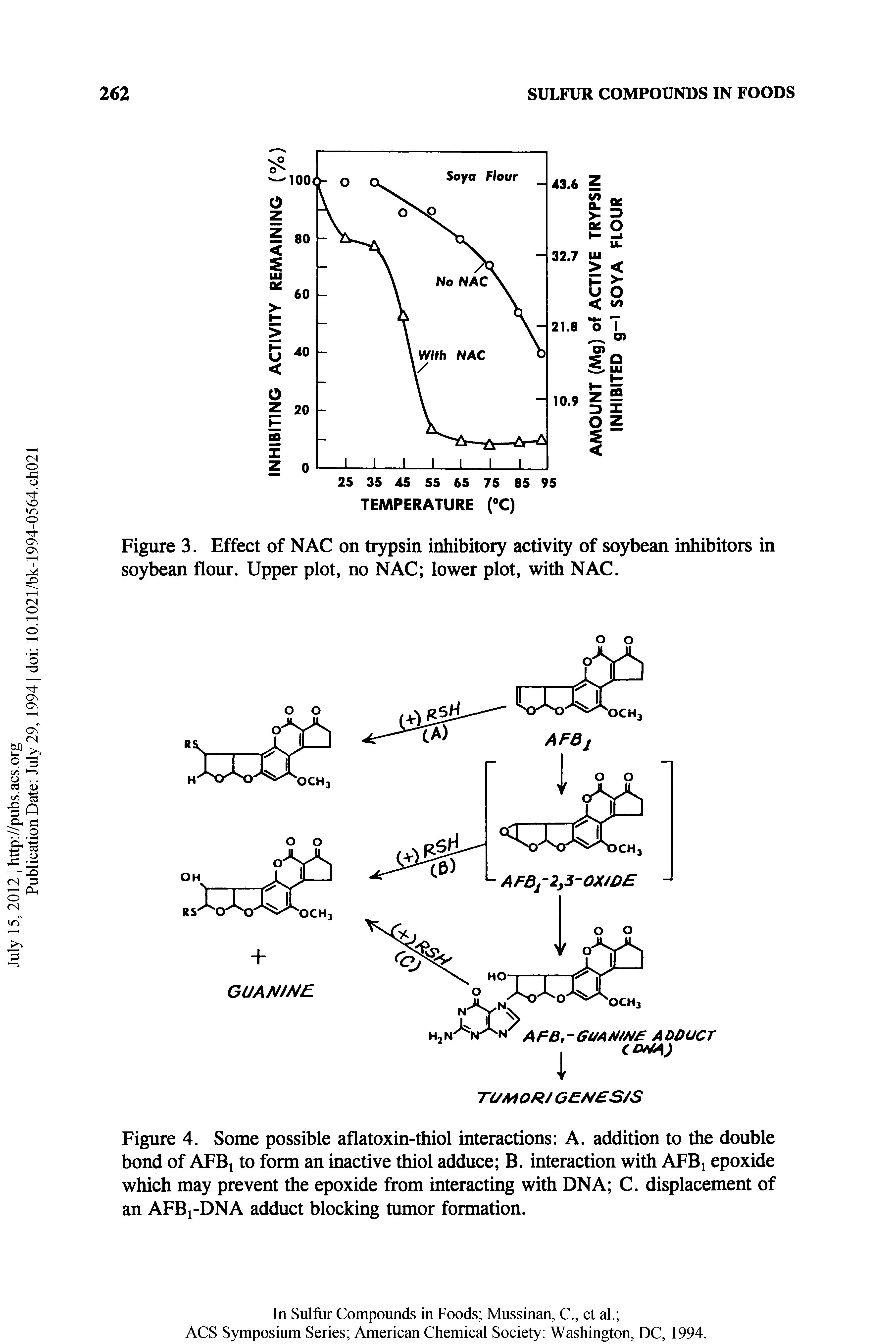 Figure 4. Some possible aflatoxin-thiol interactions A. addition to the double bond of AFBi to form an inactive thiol adduce B. interaction with AFBi epoxide which may prevent the epoxide from interacting with DNA C. displacement of an AFBi-DNA adduct blocking tumor formation.