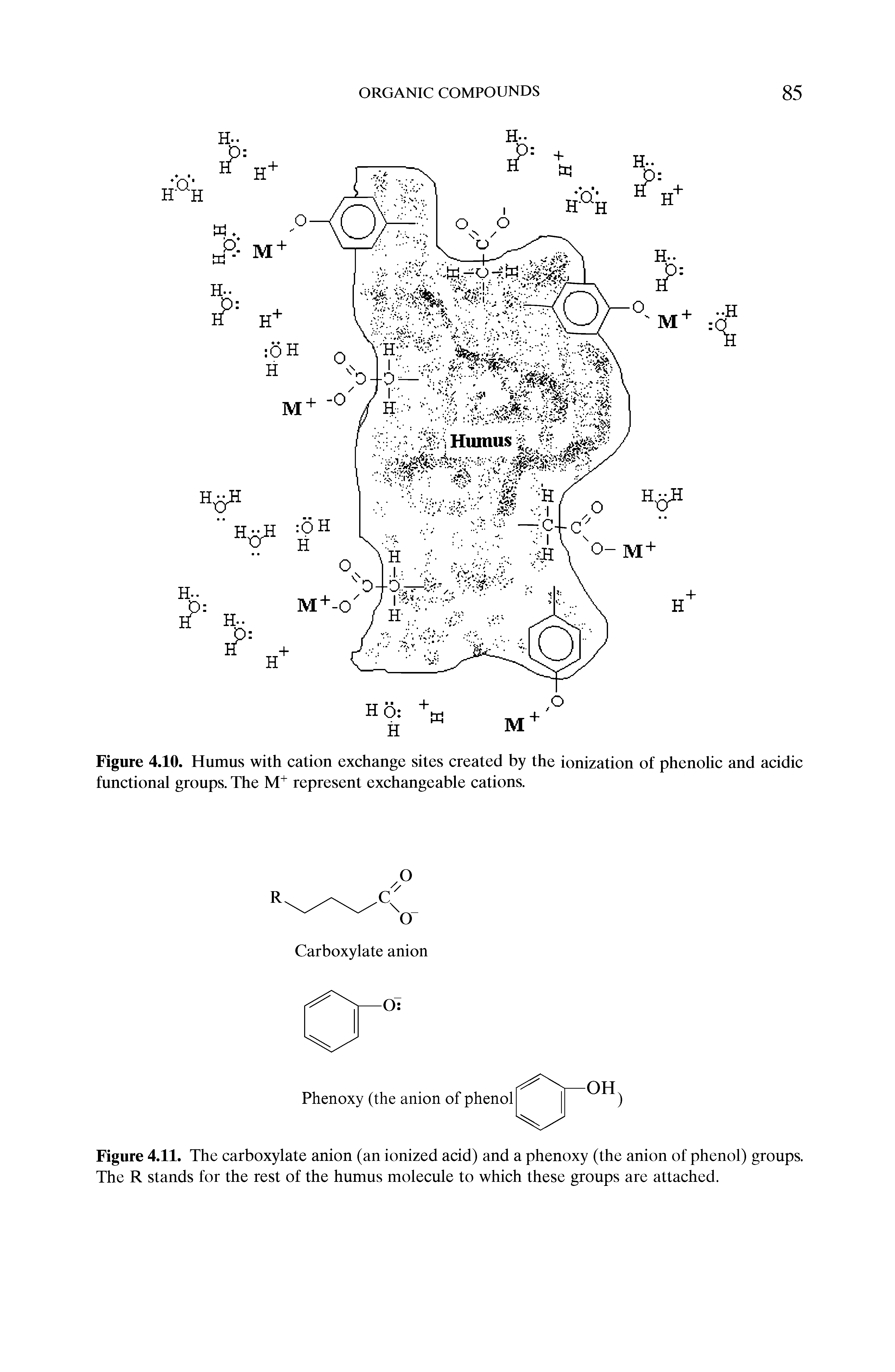 Figure 4.10. Humus with cation exchange sites created by the ionization of phenolic and acidic functional groups. The M+ represent exchangeable cations.