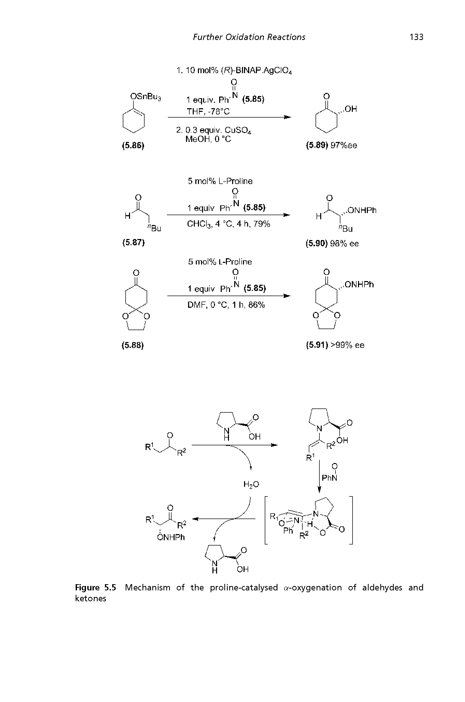 Figure 5.5 Mechanism of the proline-catalysed a-oxygenation of aldehydes and ketones...
