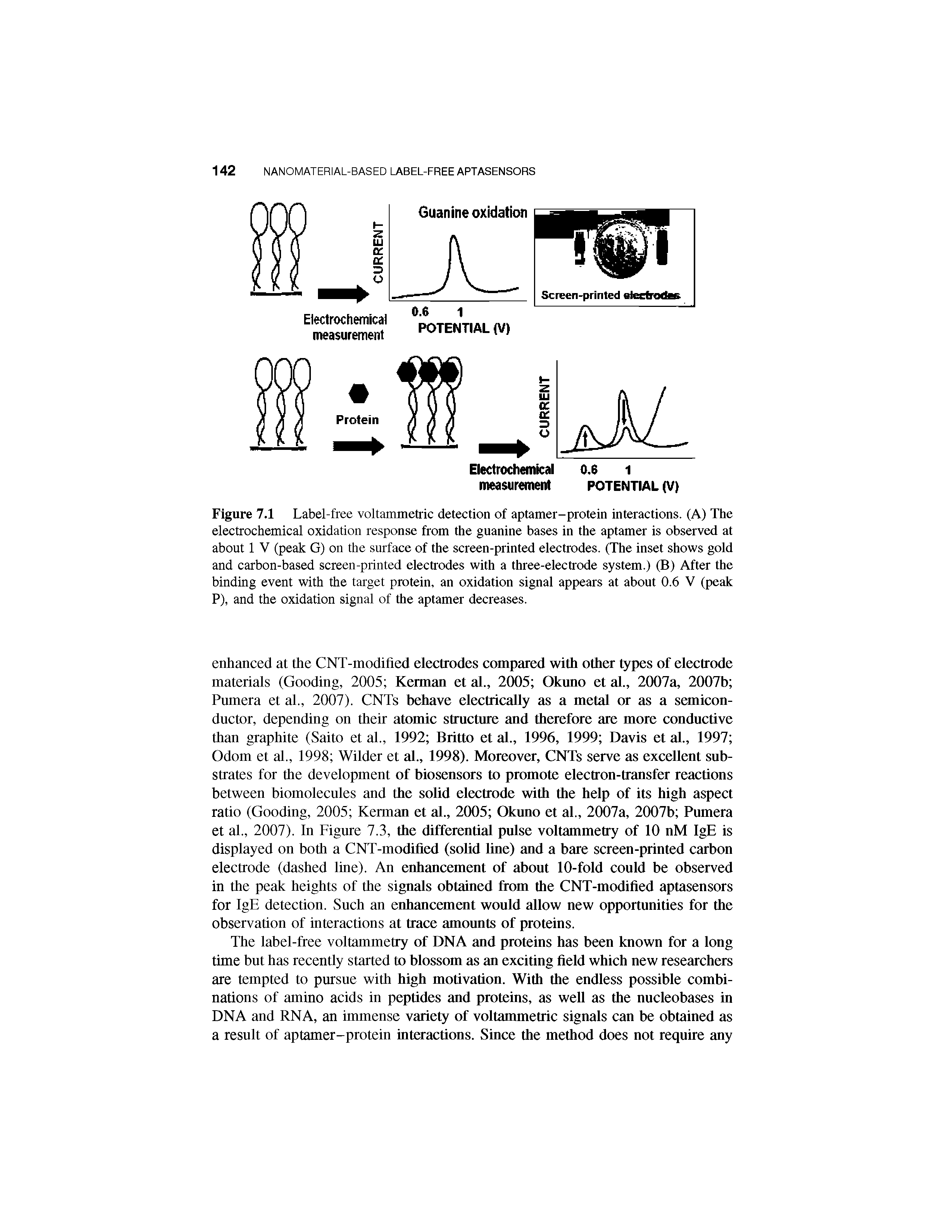 Figure 7.1 Label-free voltammetric detection of aptamer-protein interactions. (A) The electrochemical oxidation response from the guanine bases in the aptamer is observed at about 1 V (peak G) on the surface of the screen-printed electrodes. (The inset shows gold and carbon-based screen-printed electrodes with a three-electrode system.) (B) After the binding event with the target protein, an oxidation signal appears at about 0.6 V (peak P), and the oxidation signal of the aptamer decreases.